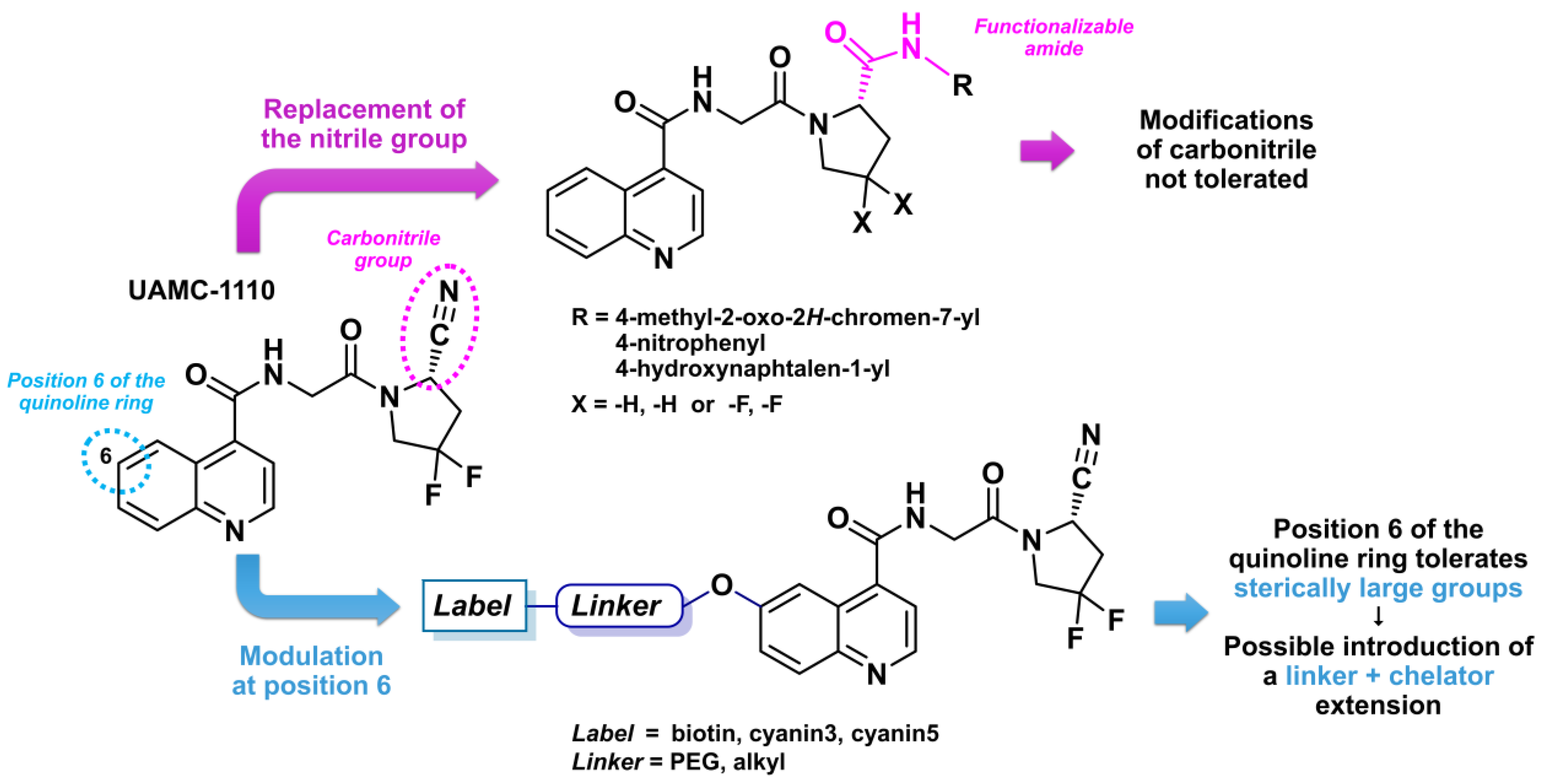 Biology 13 00967 g009