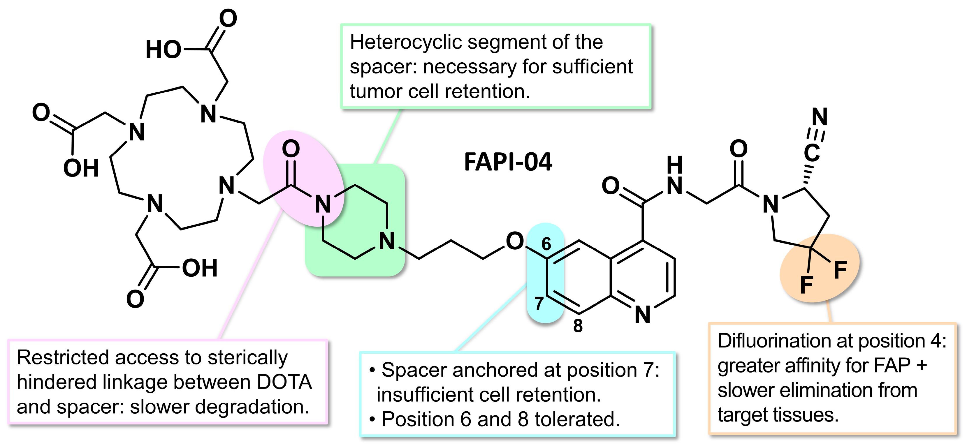 Biology 13 00967 g011