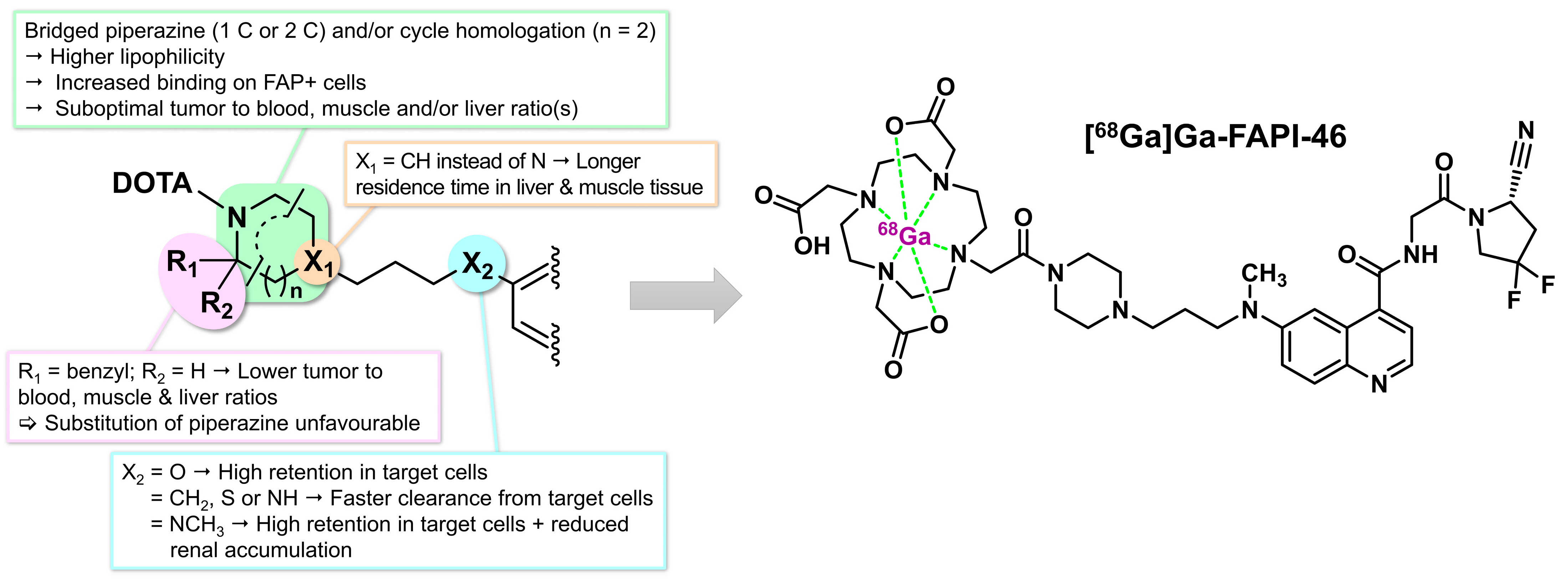 Biology 13 00967 g012