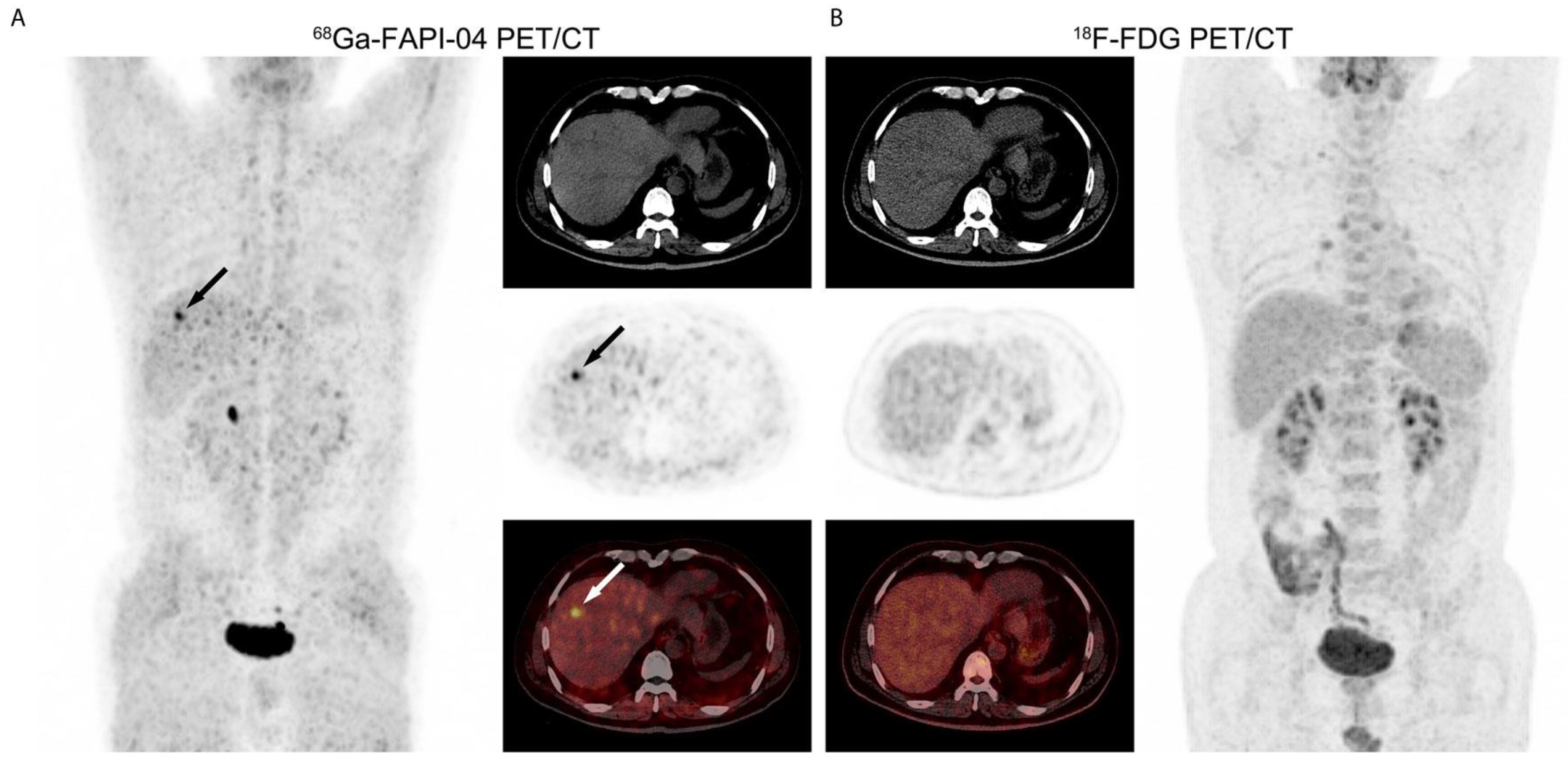Biology 13 00967 g013