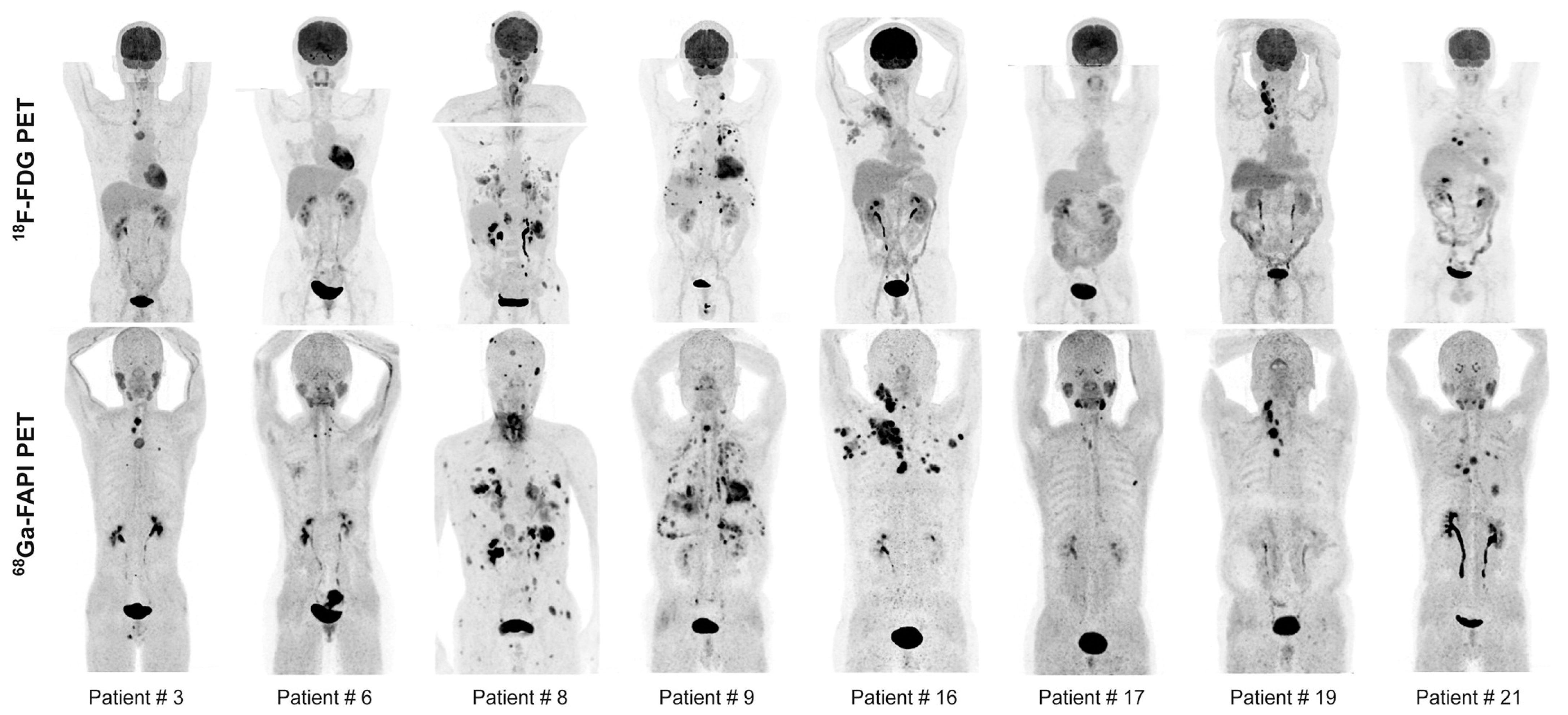 Biology 13 00967 g014