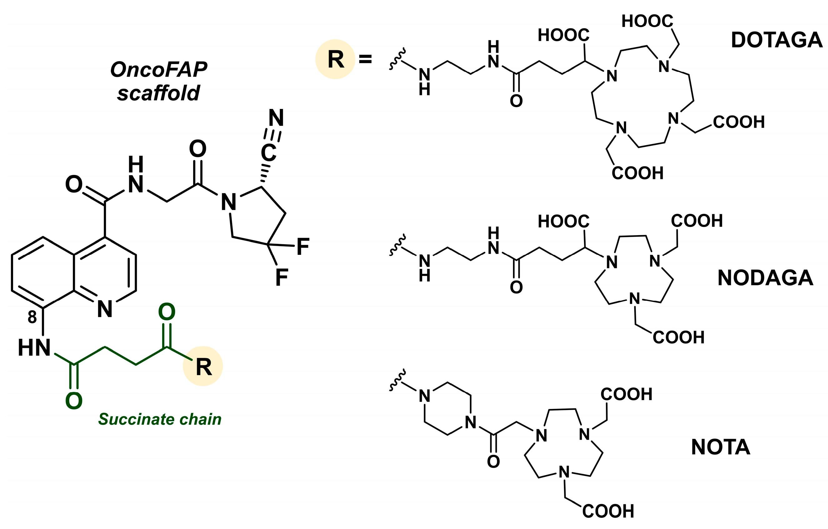 Biology 13 00967 g015