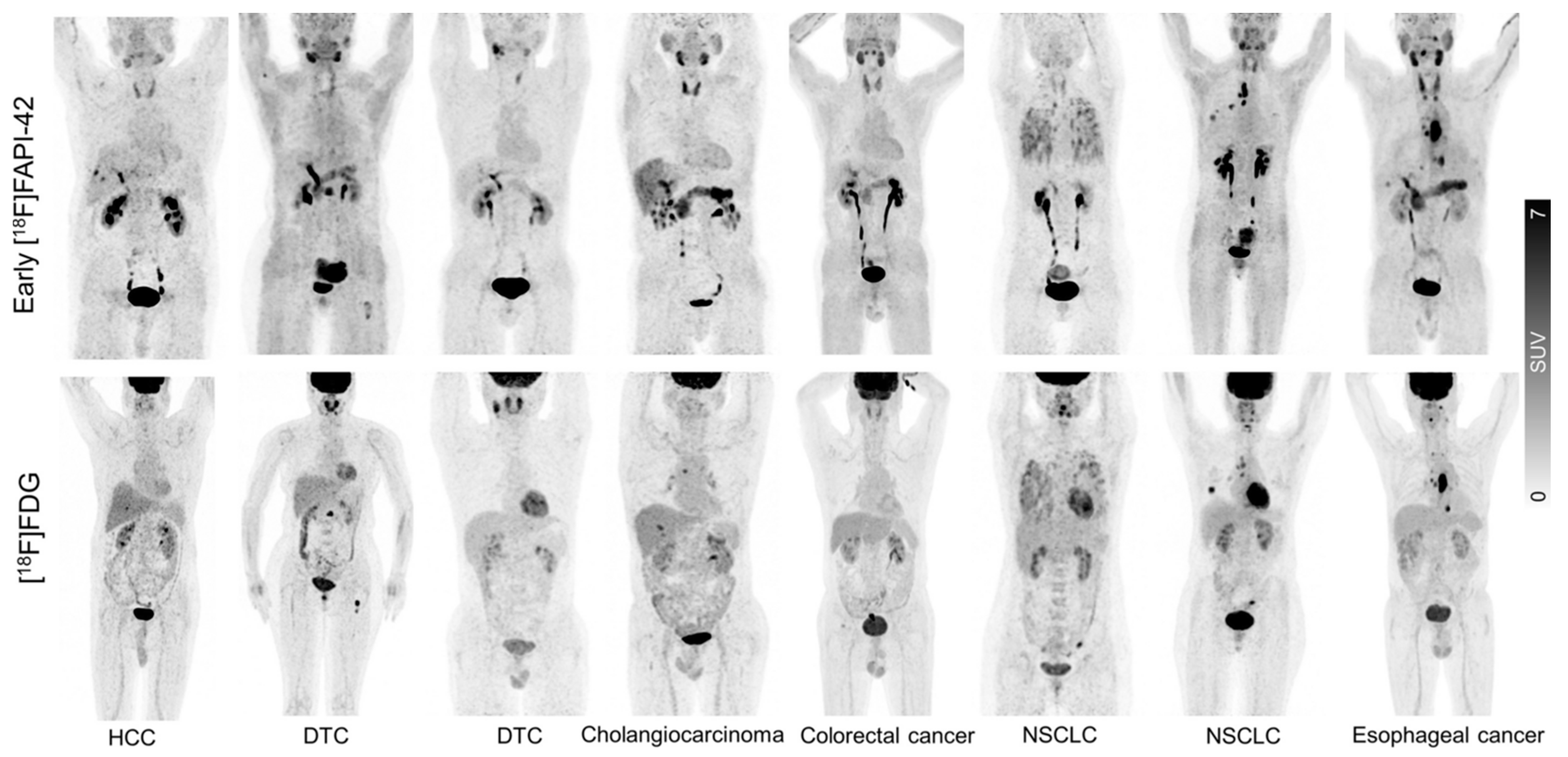 Biology 13 00967 g017