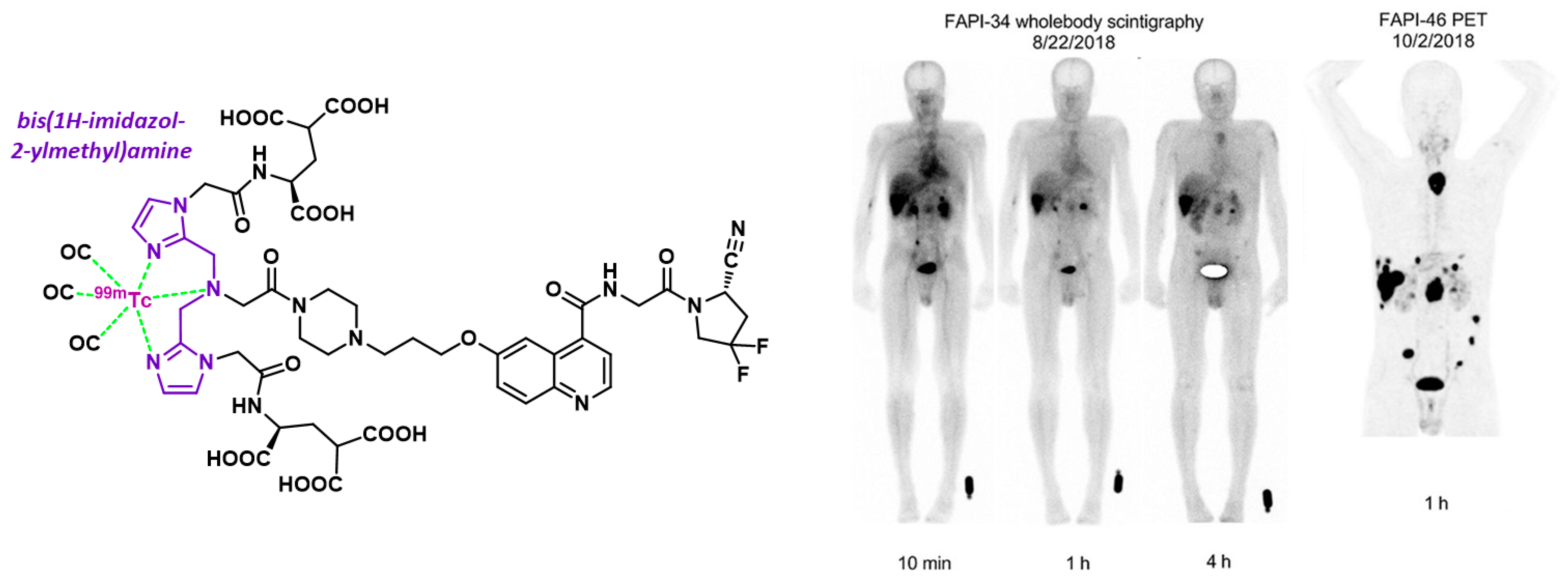 Biology 13 00967 g019