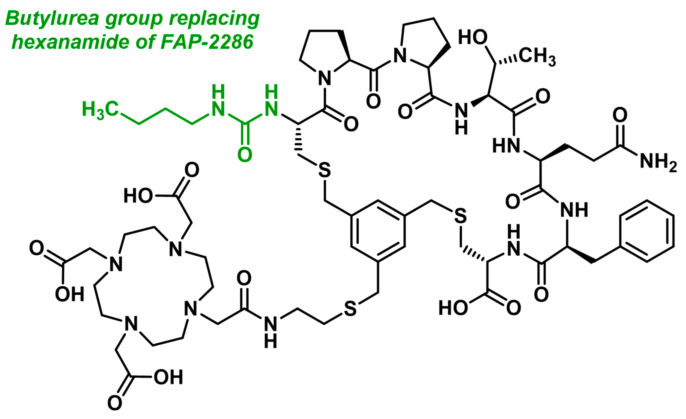 Biology 13 00967 g023