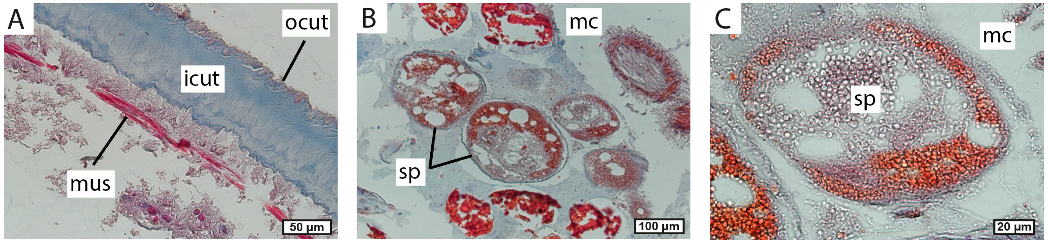 Biology 13 00968 g006