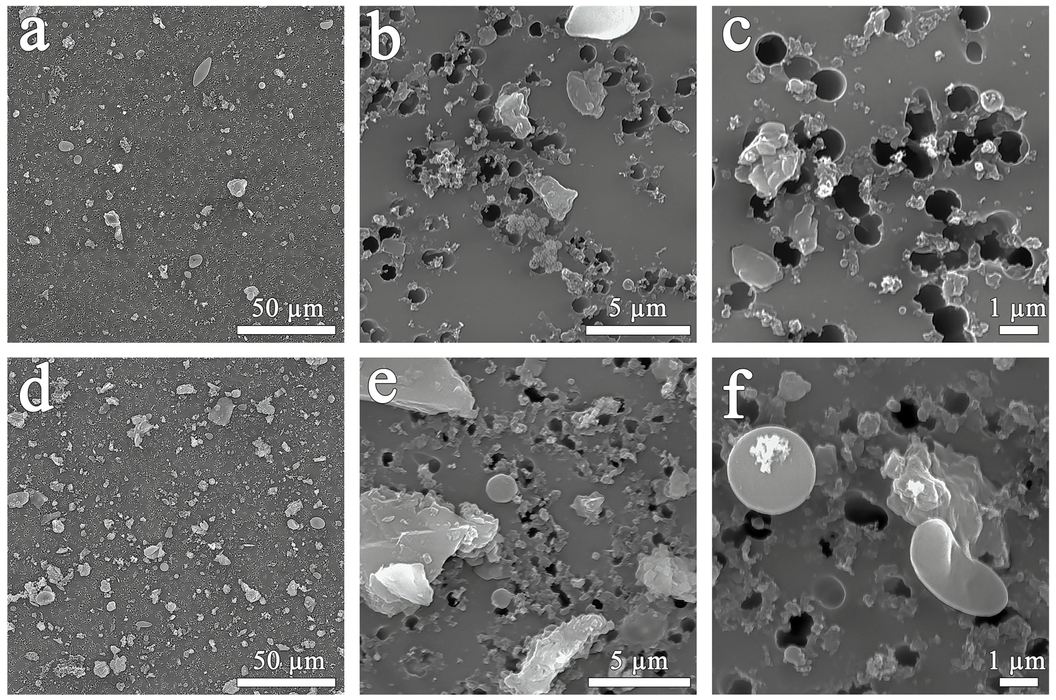 Biology 13 00969 g002