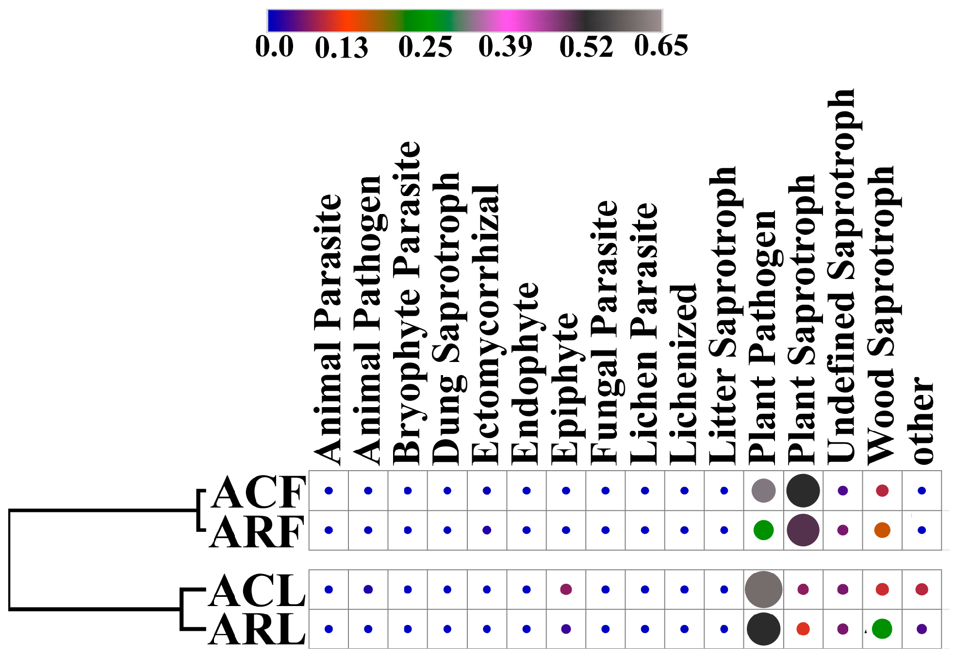Biology 13 00969 g007
