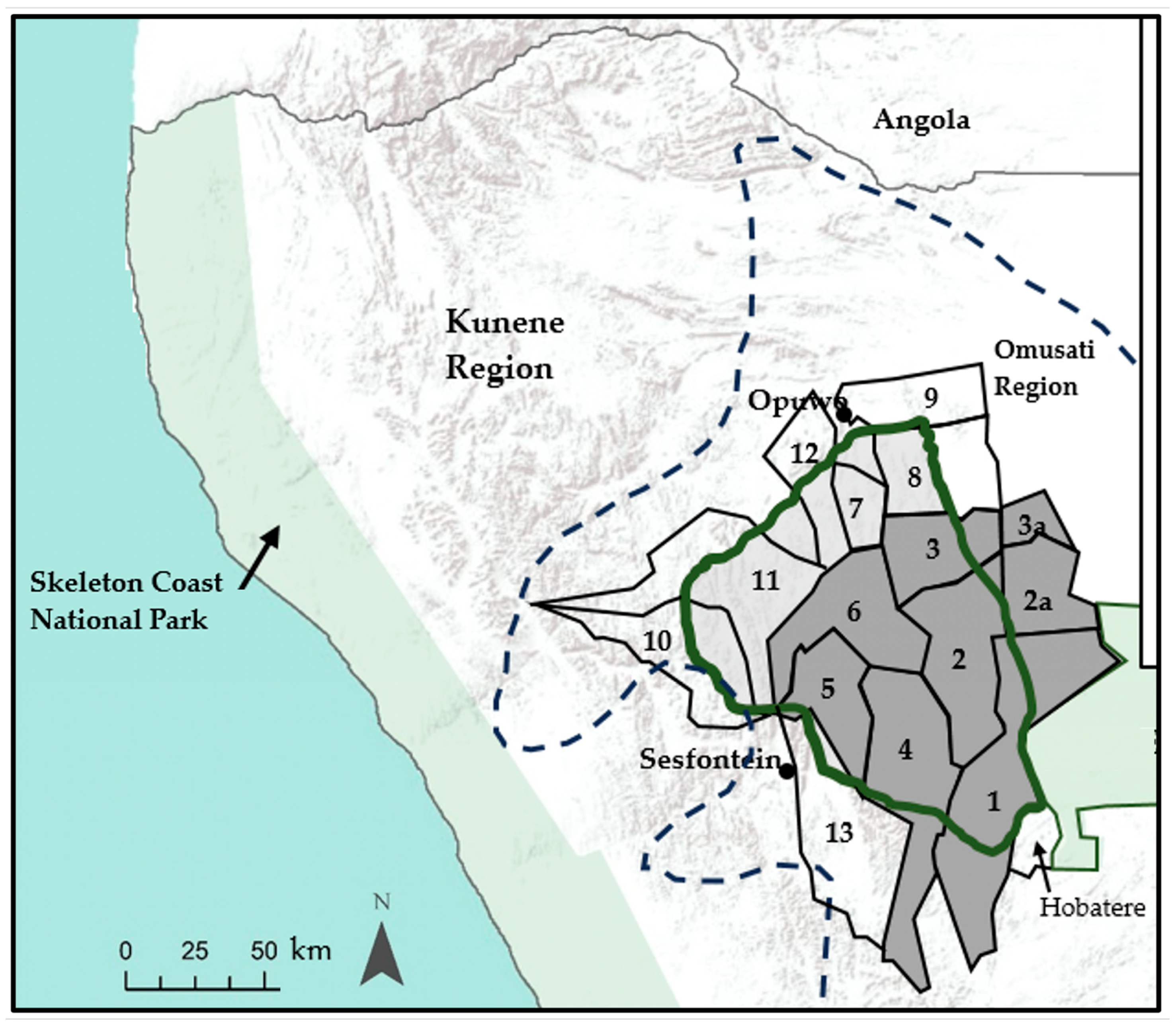 Biology 13 00971 g001