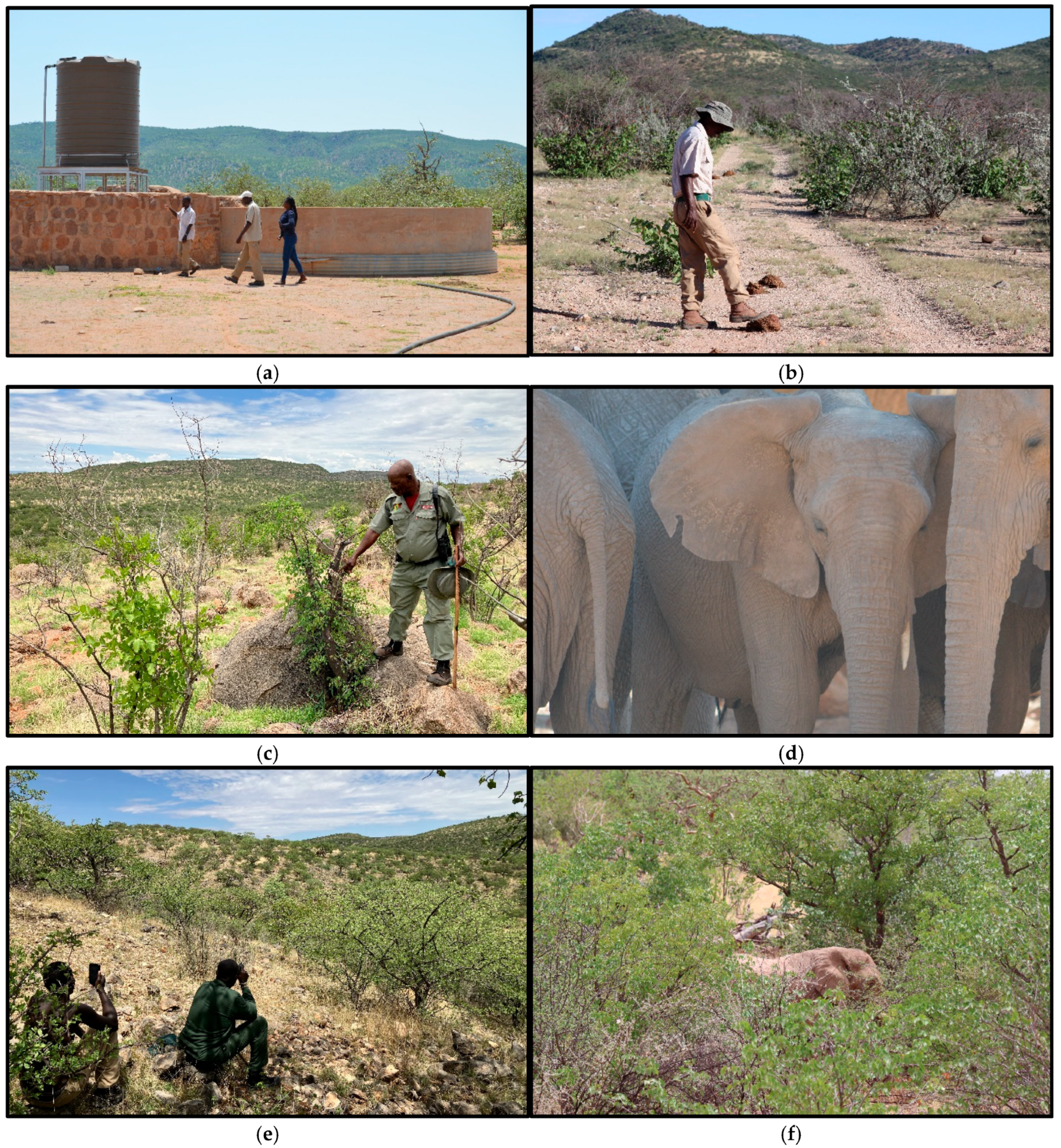 Biology 13 00971 g002