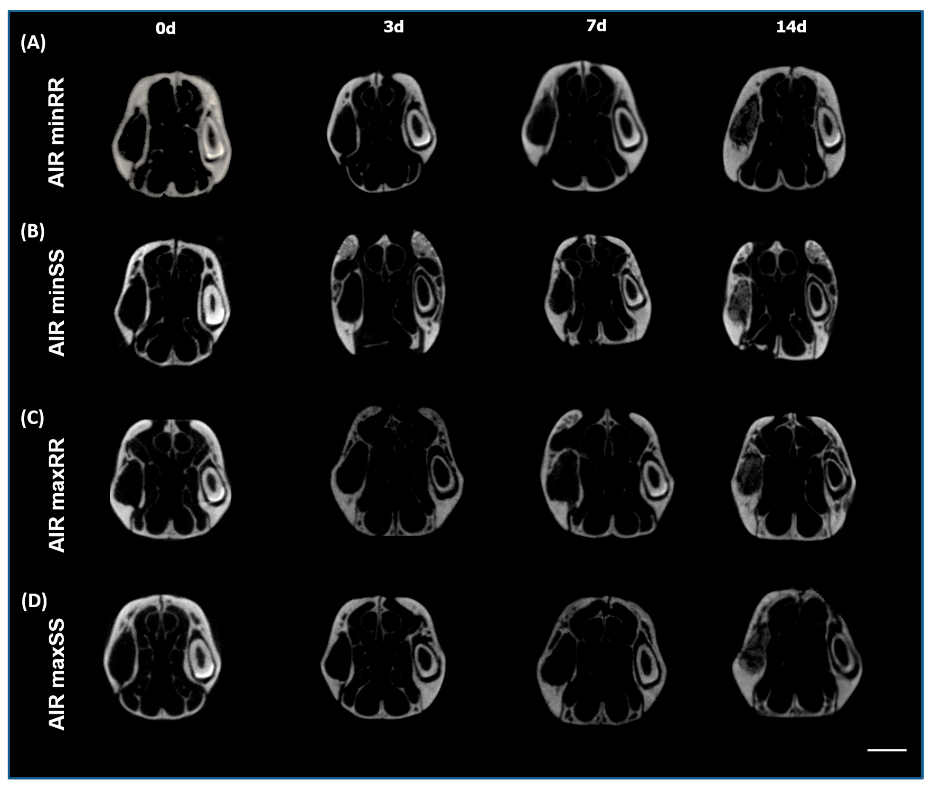 Biology 13 00972 g001