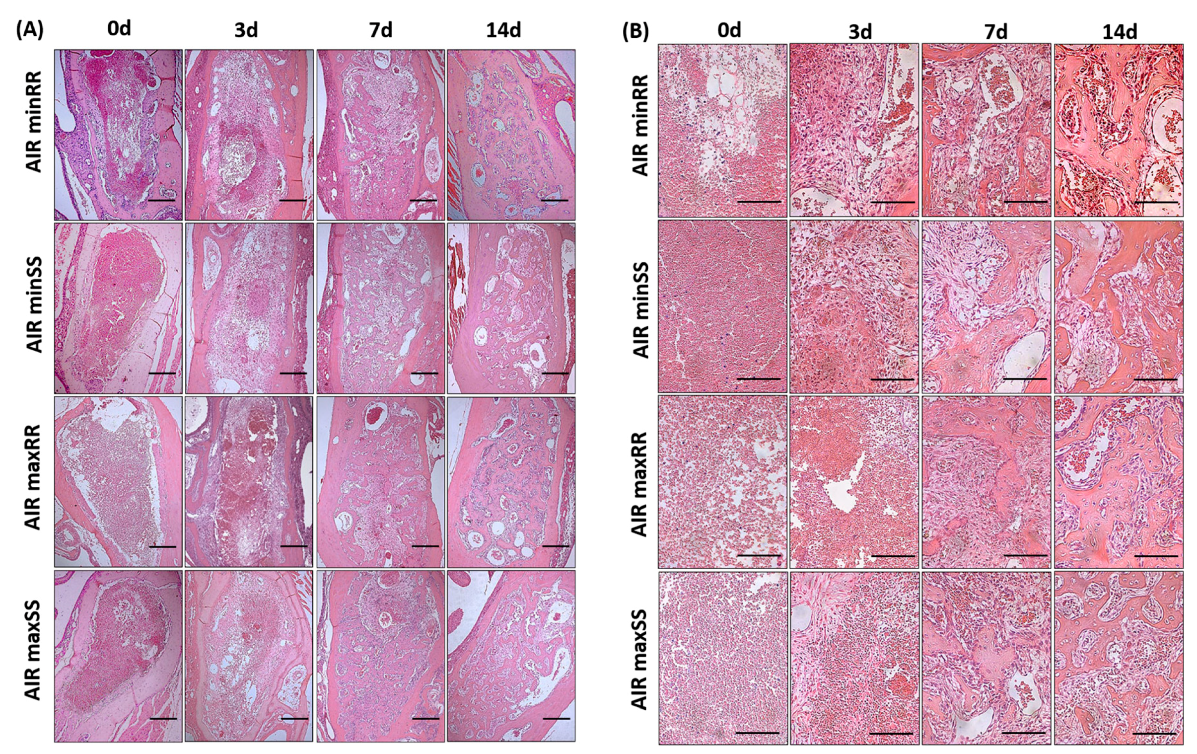 Biology 13 00972 g003