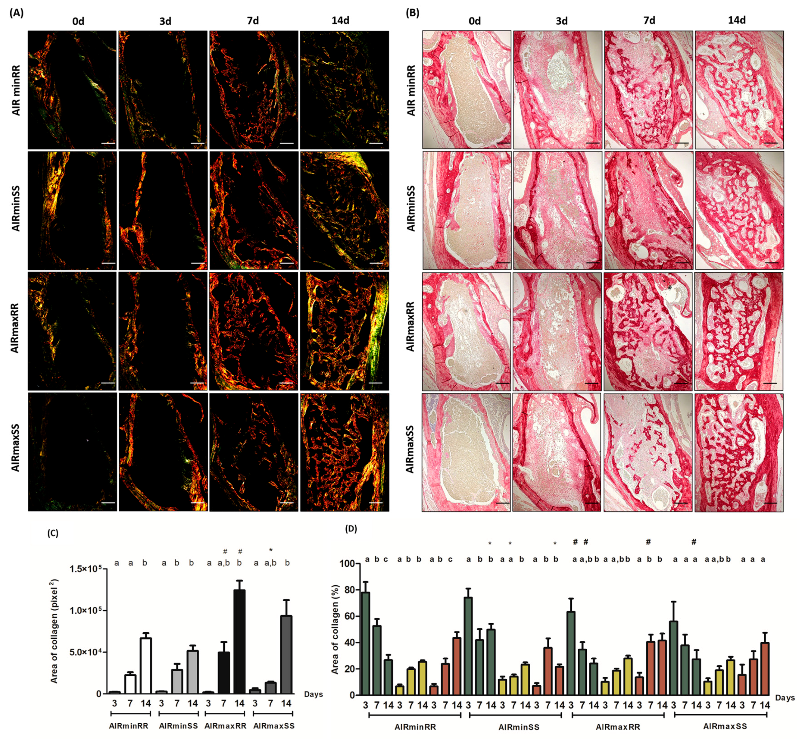 Biology 13 00972 g005