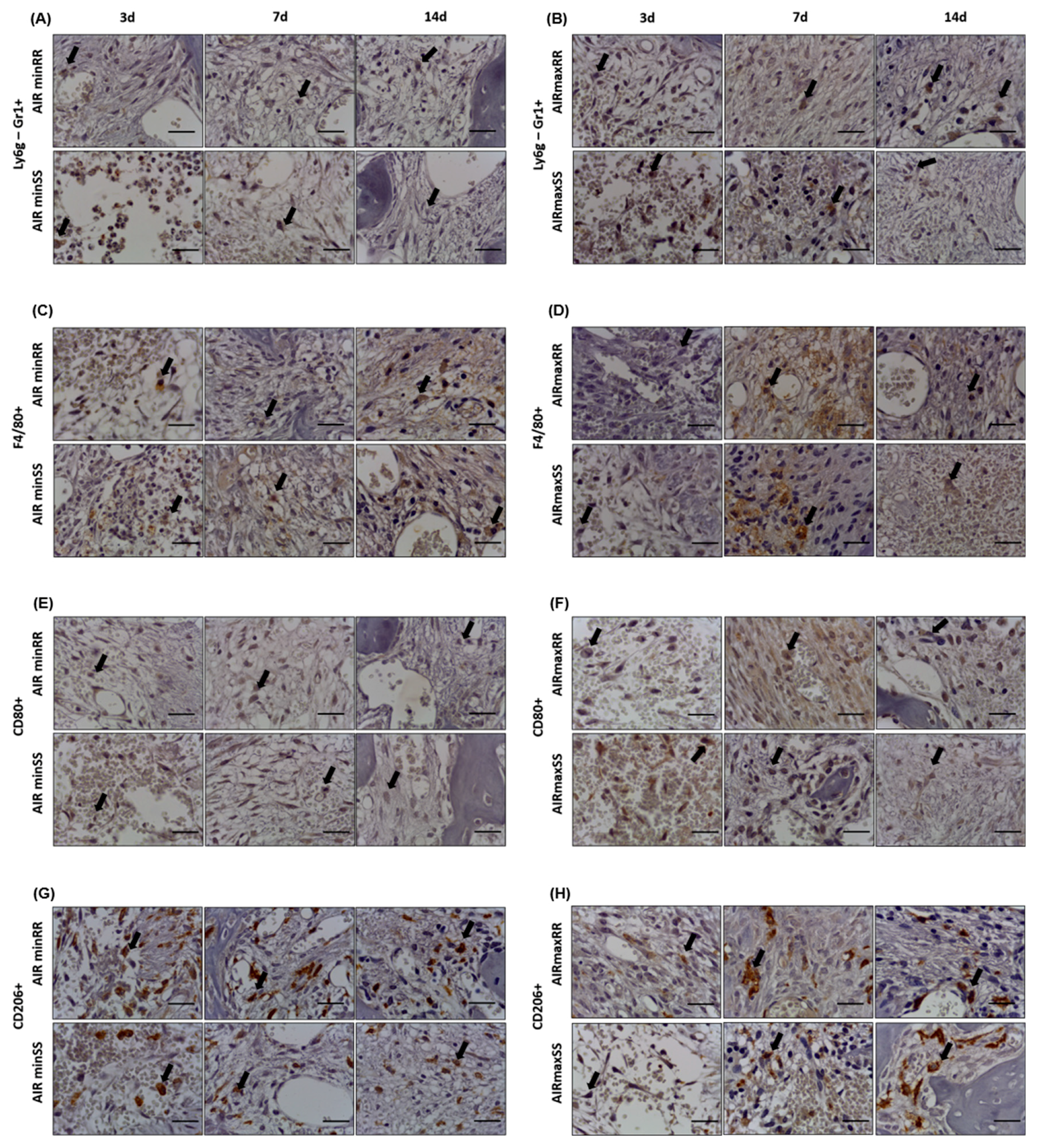 Biology 13 00972 g006