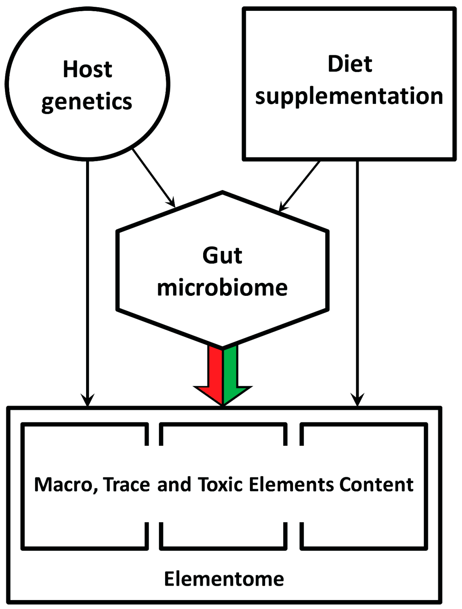 Biology 13 00975 g001