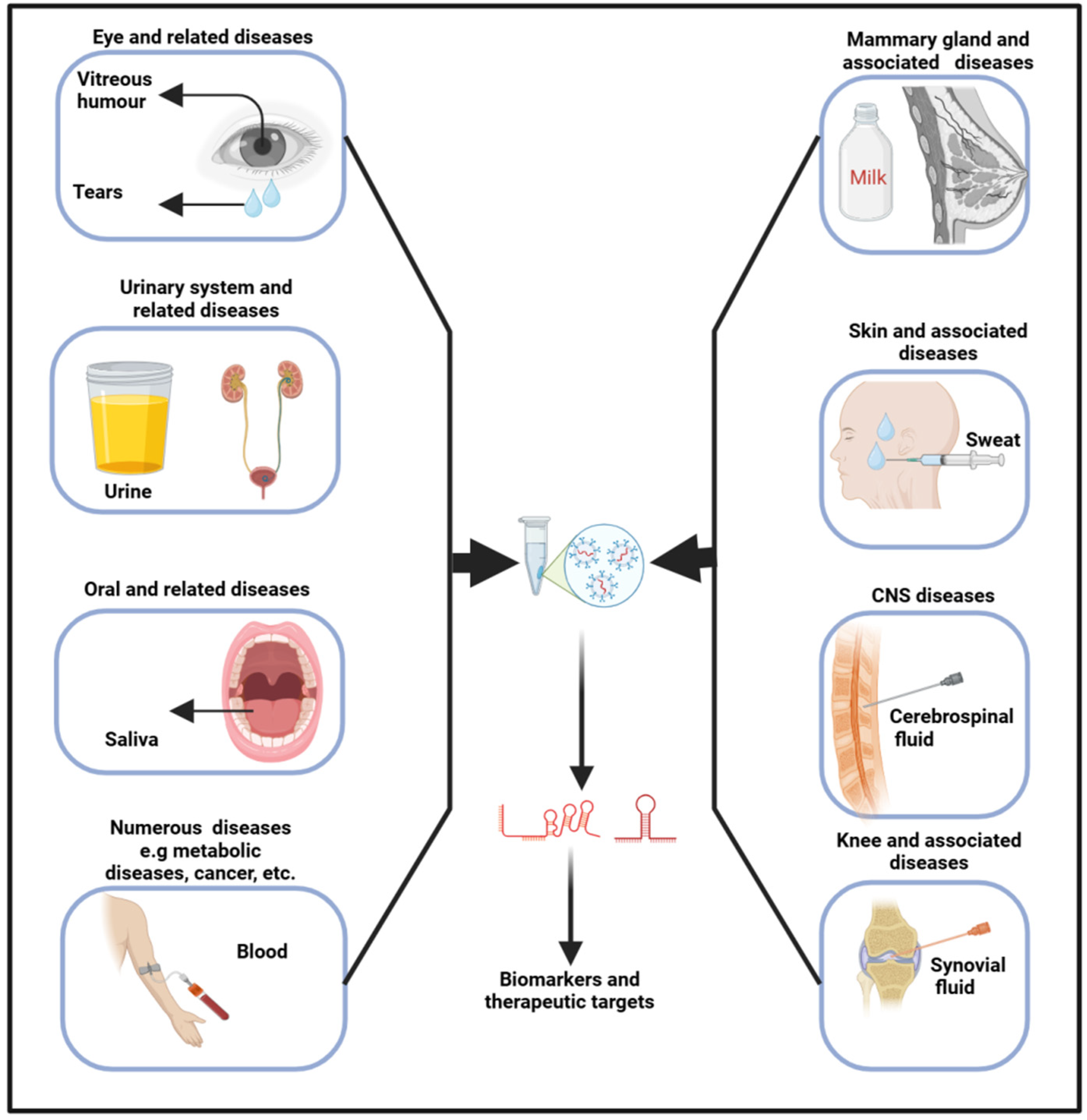 Biology 13 00976 g002