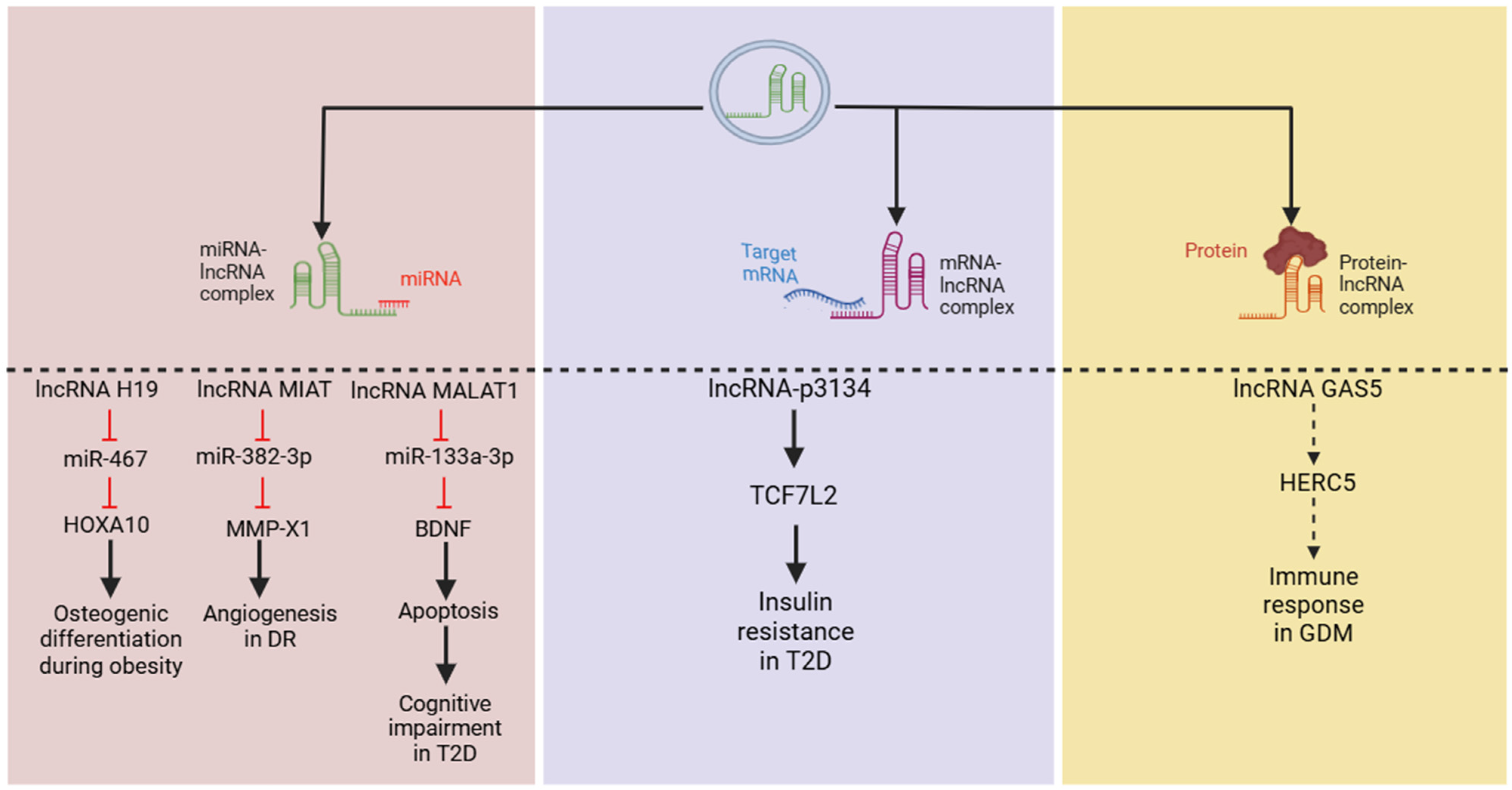 Biology 13 00976 g003
