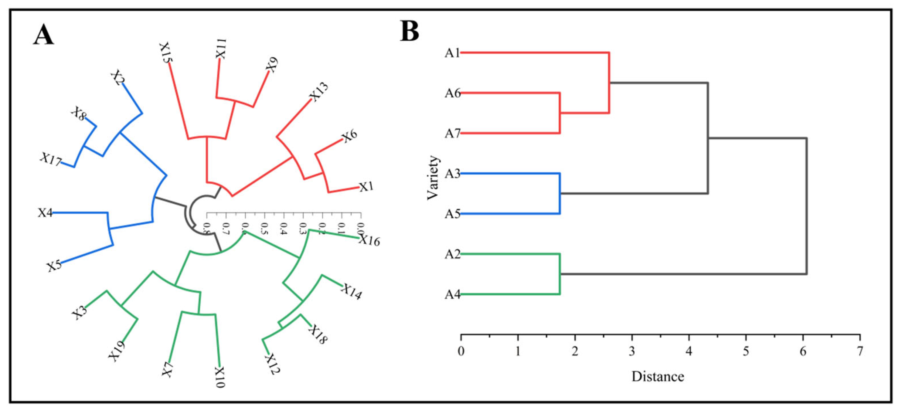 Biology 13 00977 g011