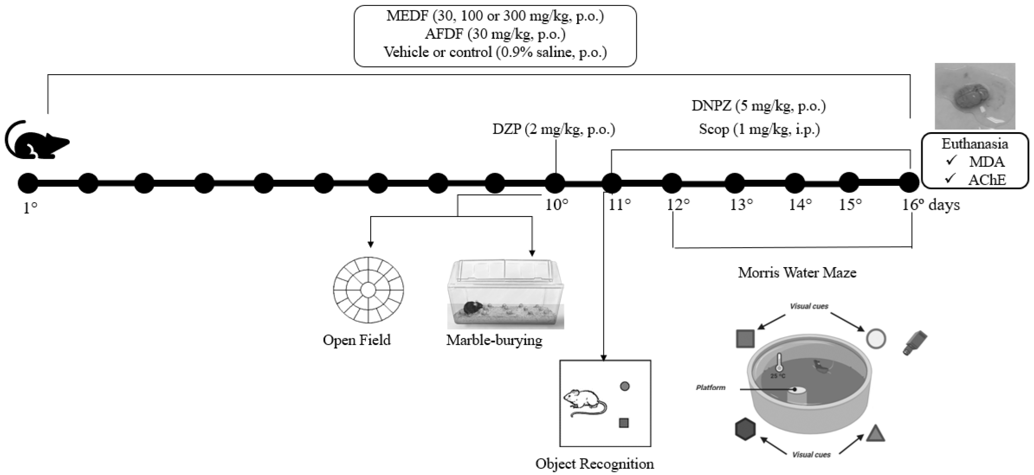 Biology 13 00981 g001