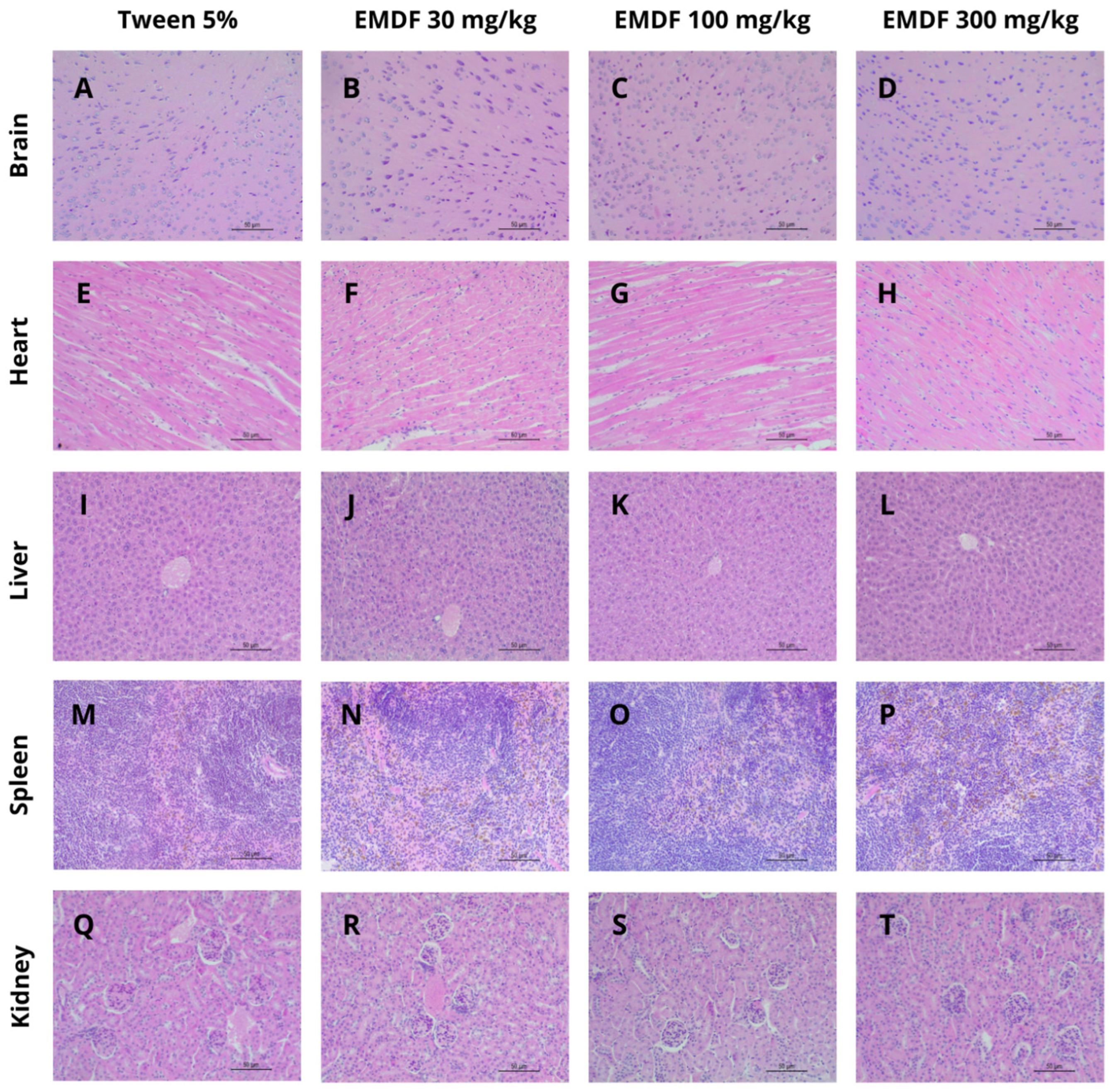 Biology 13 00981 g003