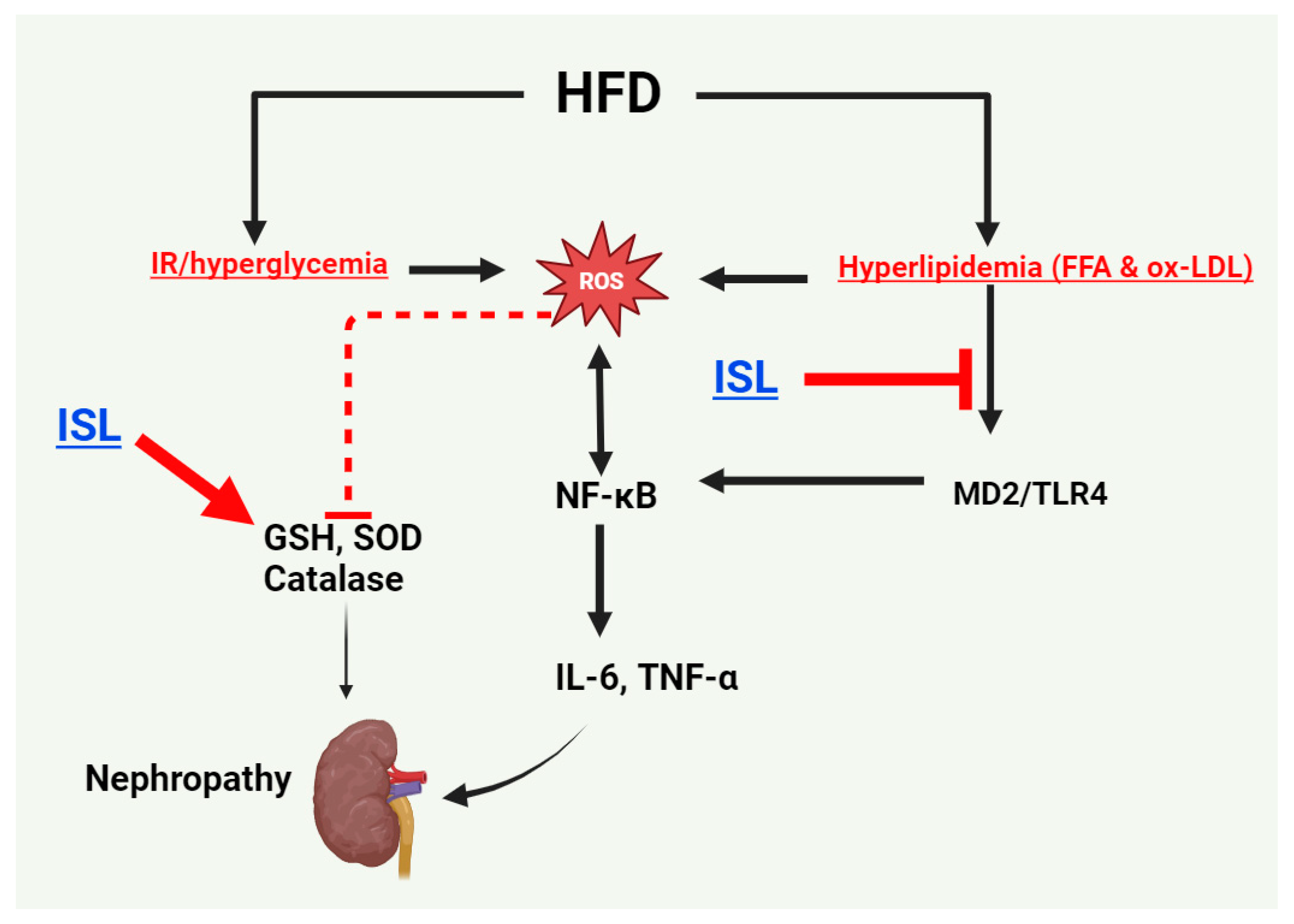 Biology 13 00984 g005
