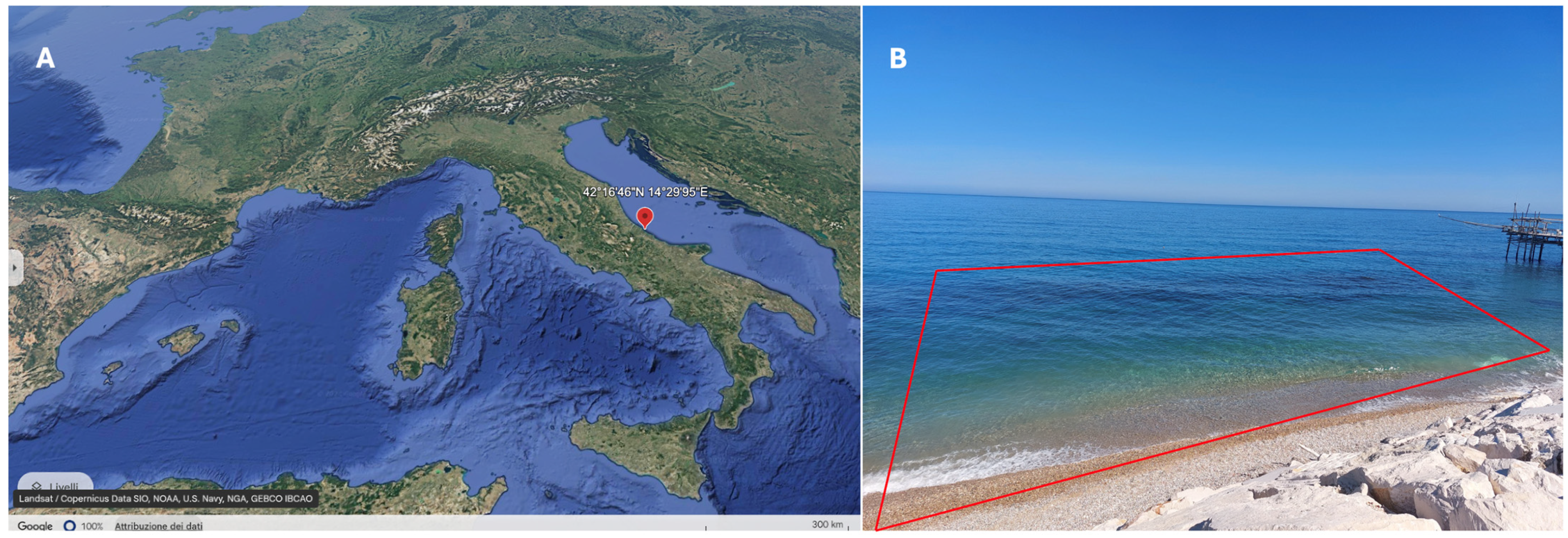 Biology 13 00987 g001