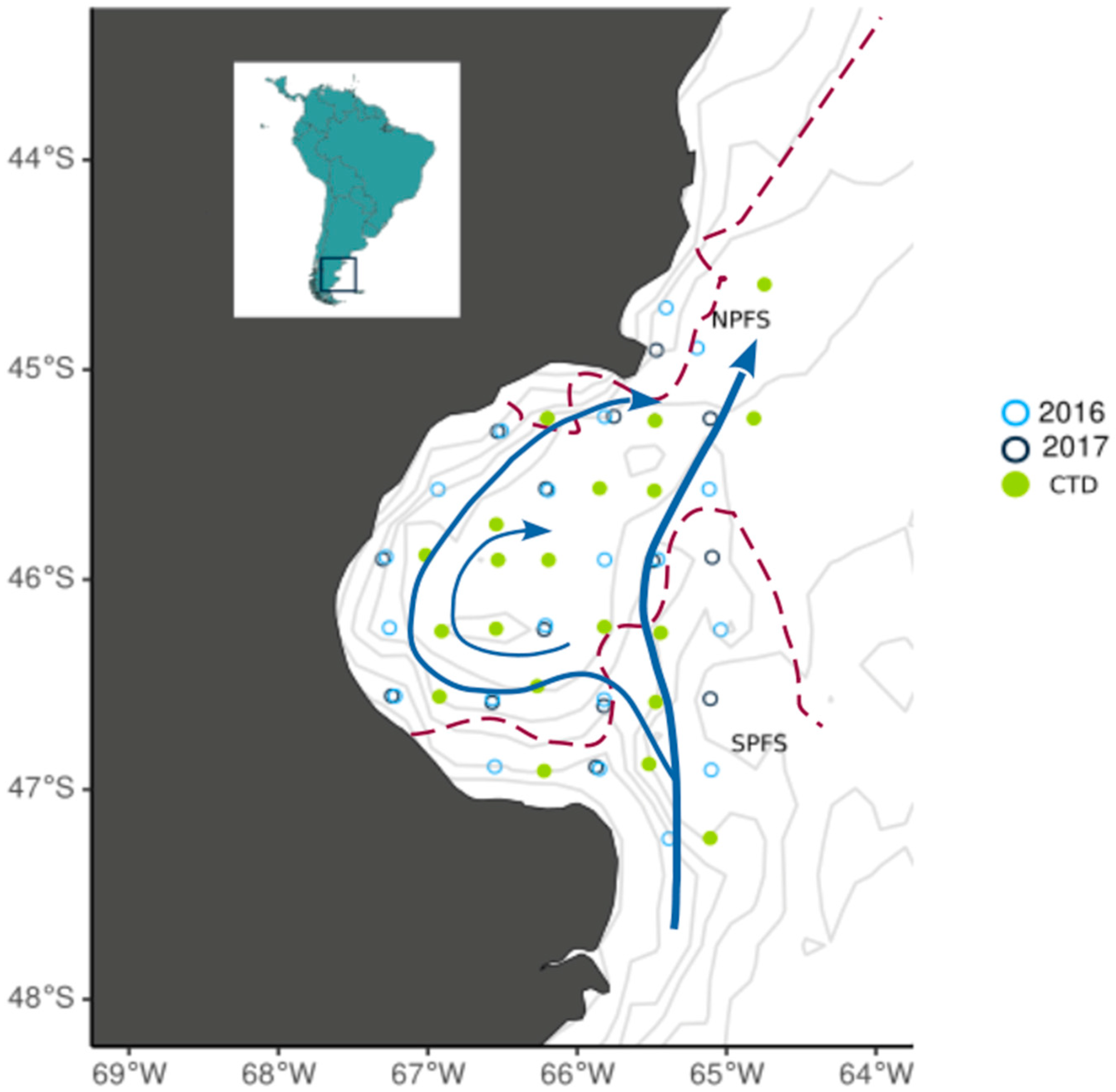 Biology 13 00990 g001