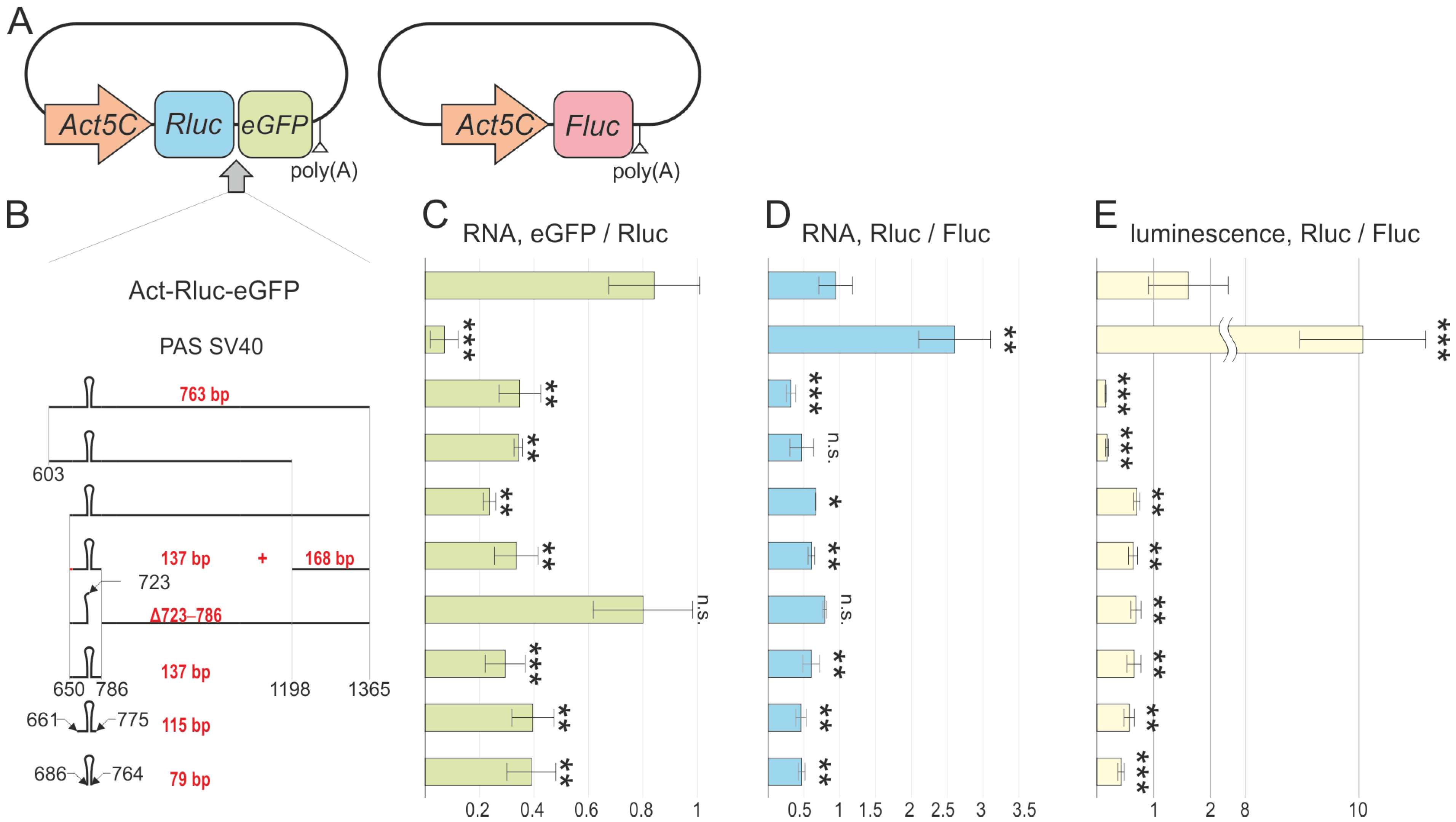 Biology 13 00994 g002