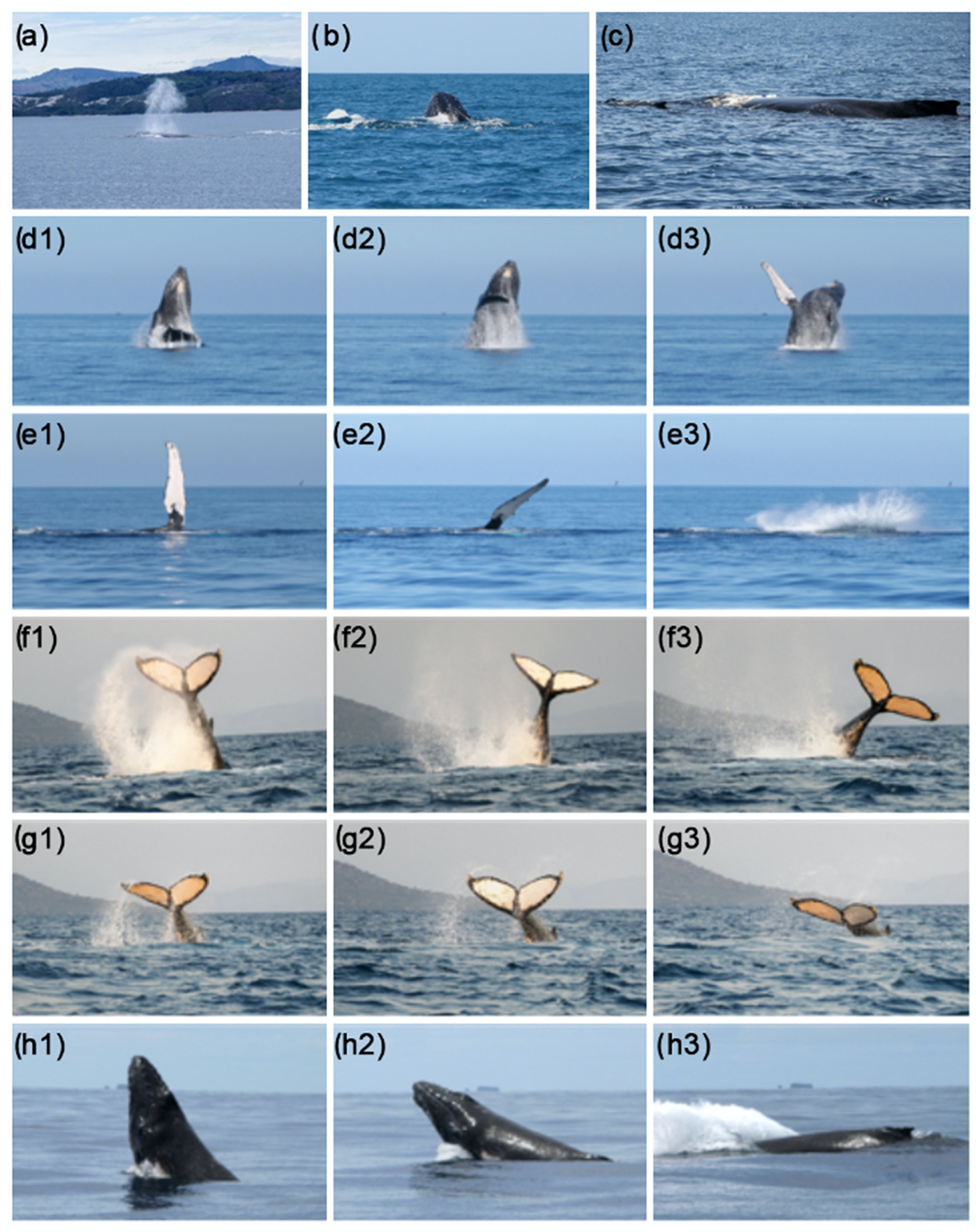 Biology 13 00996 g002