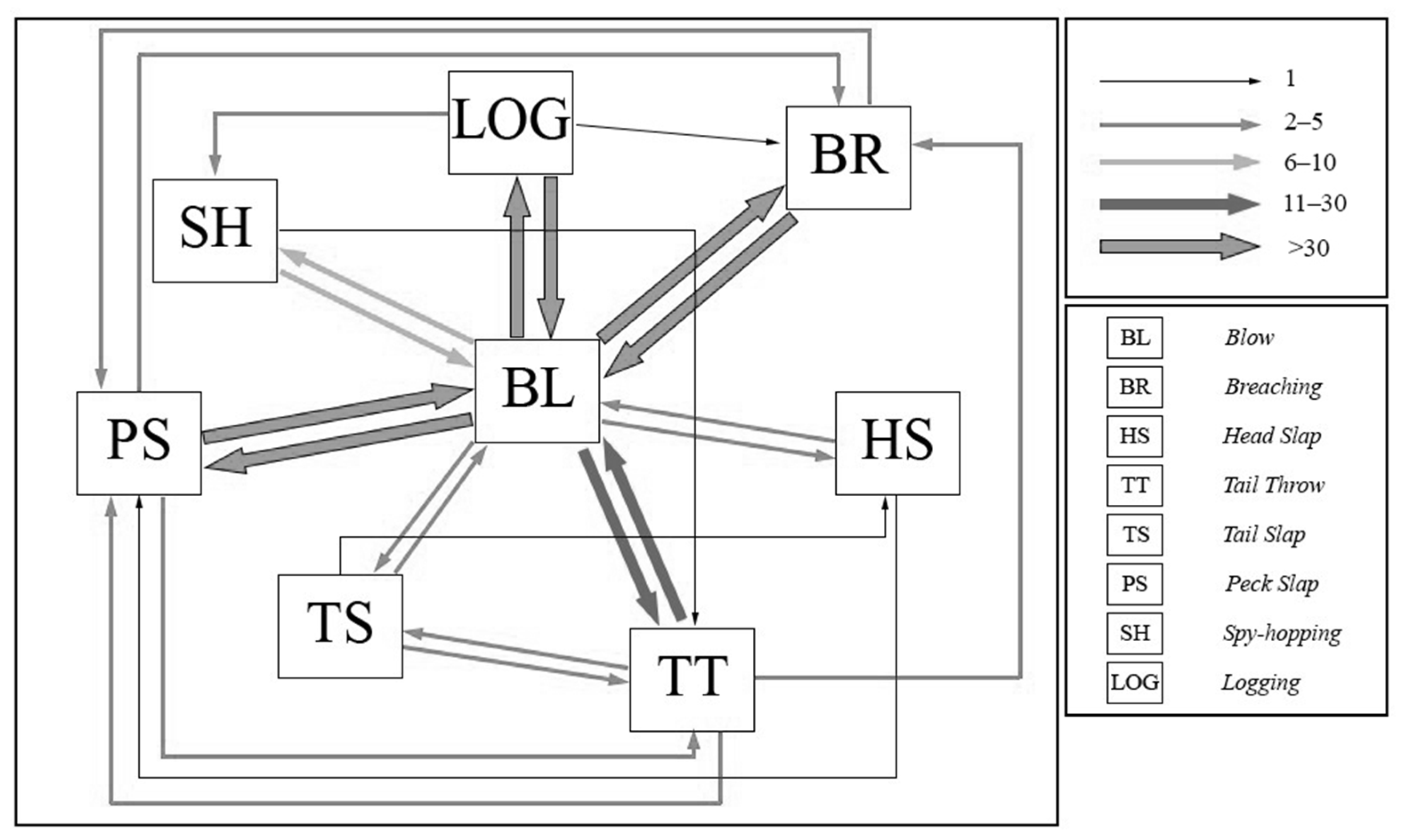 Biology 13 00996 g003