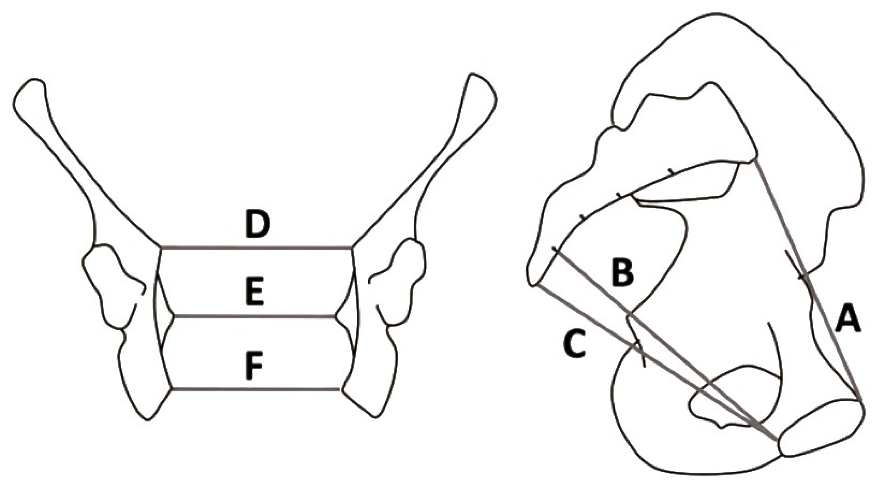 Biology 13 01001 g001