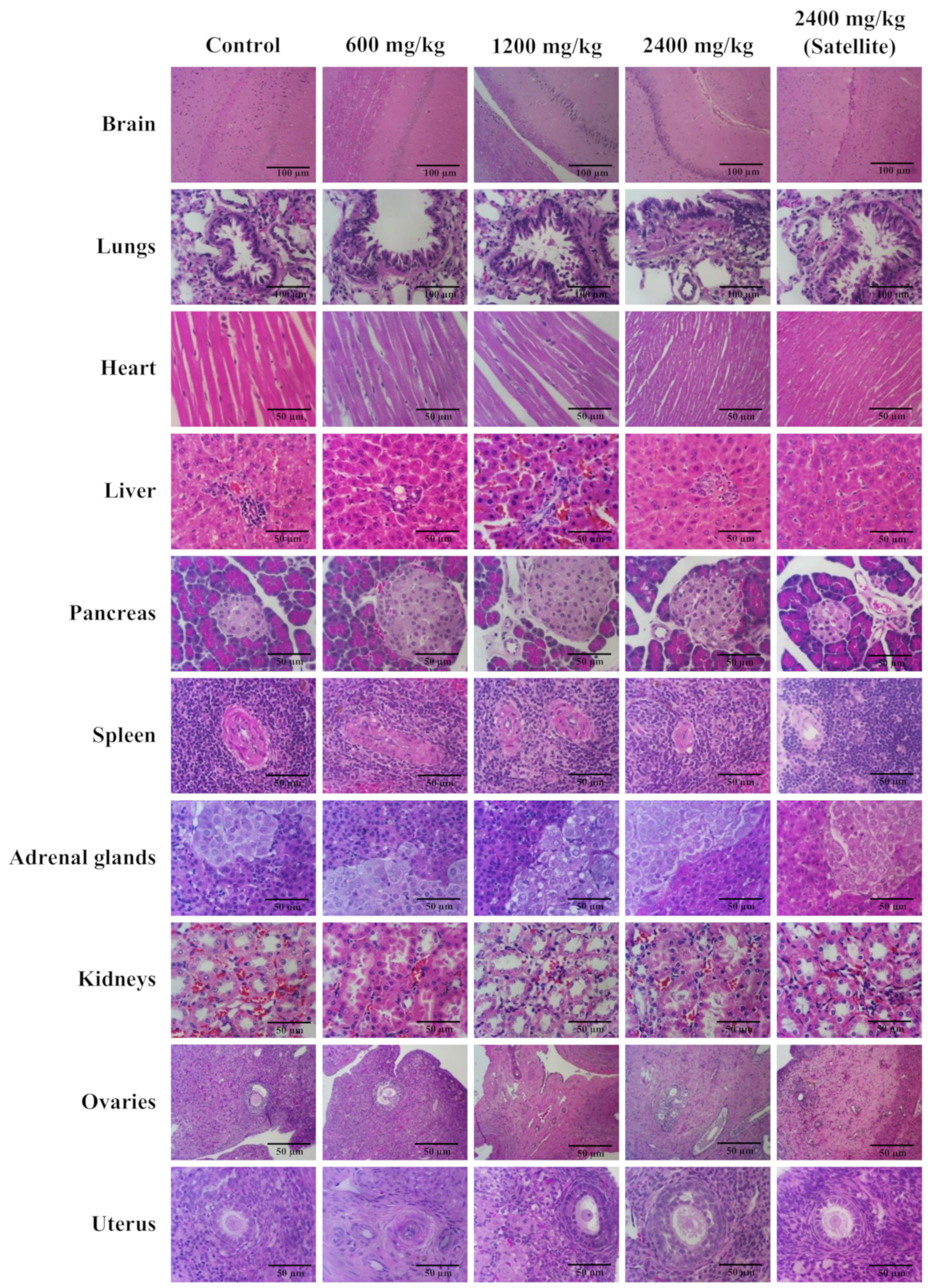 Biology 13 01005 g005