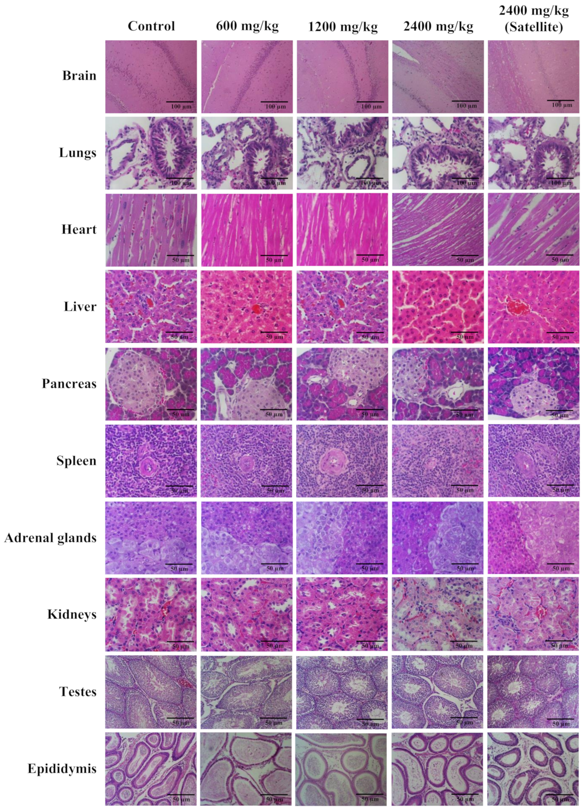Biology 13 01005 g006