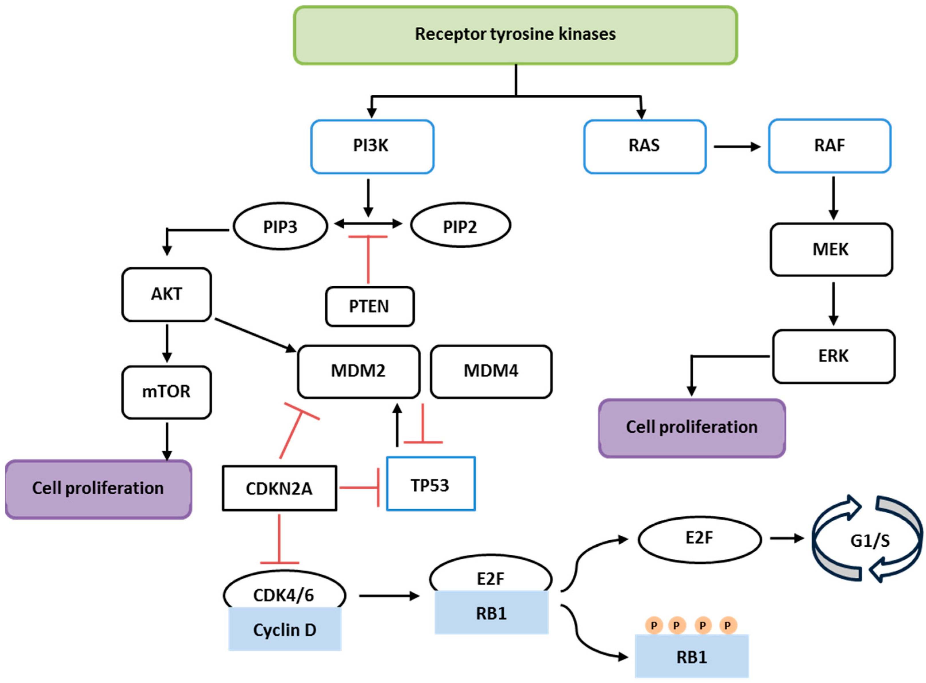 Biology 13 01007 g001 Biology 13 01007 g001