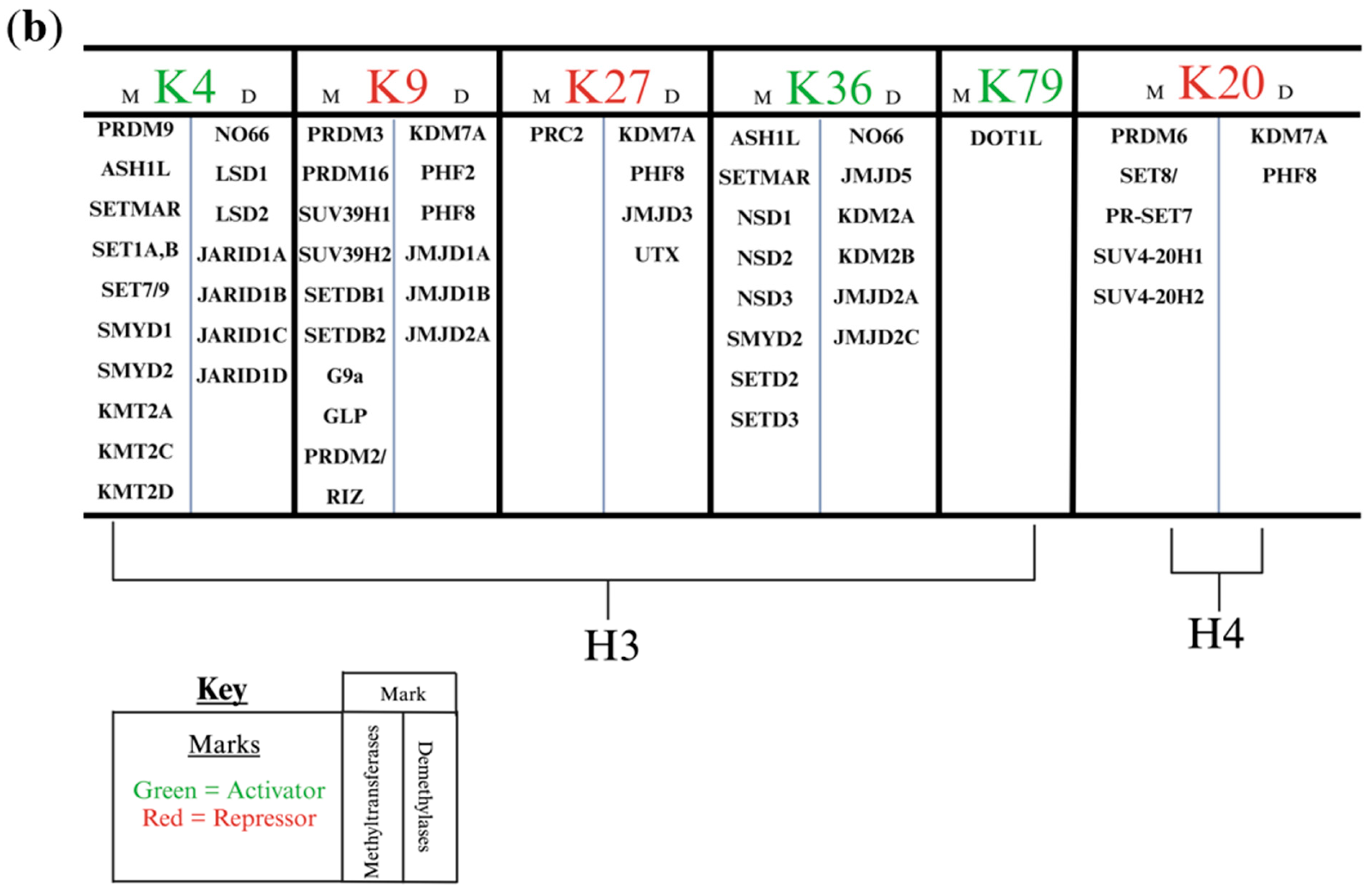 Biology 13 01008 g001b
