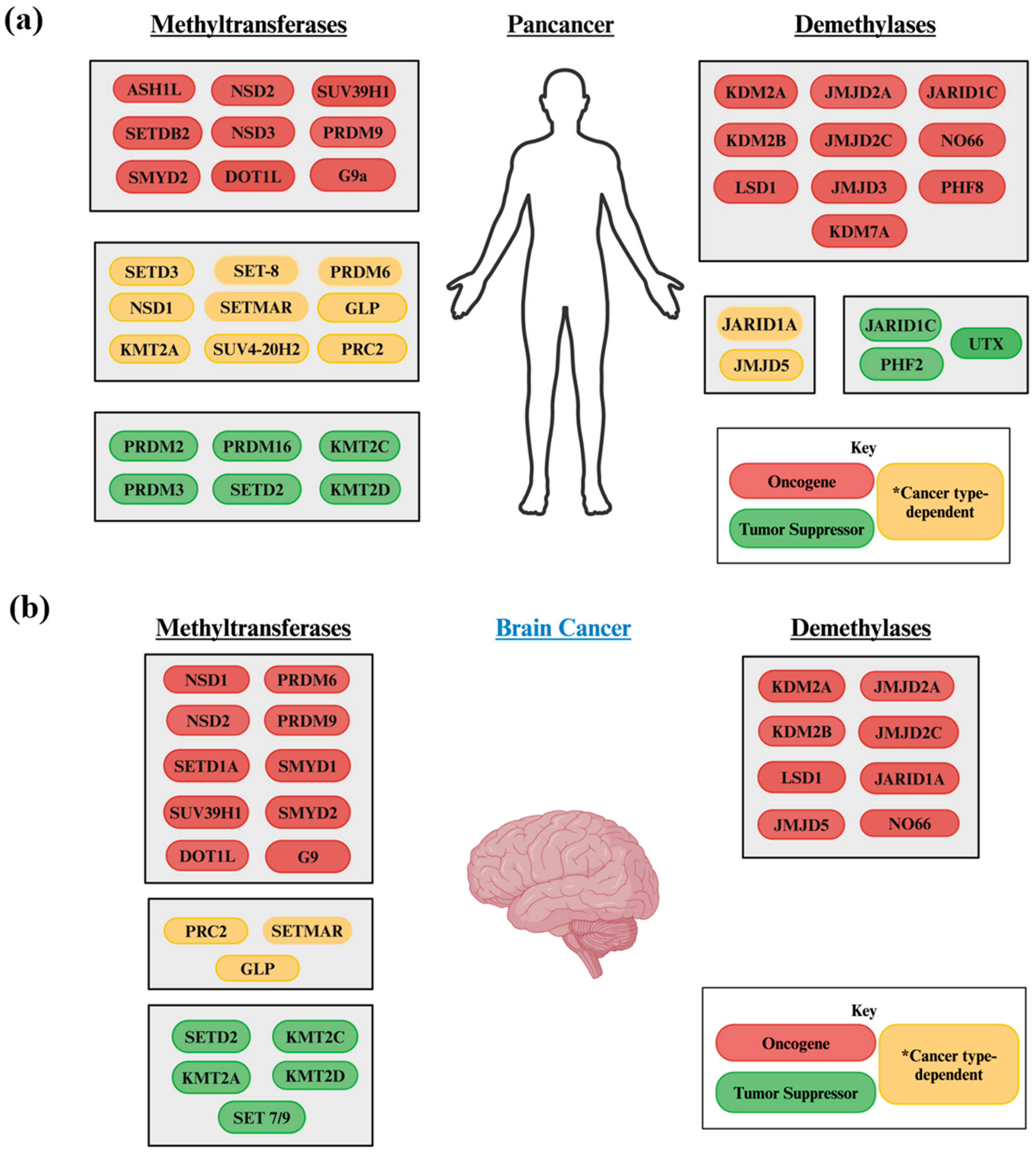 Biology 13 01008 g002