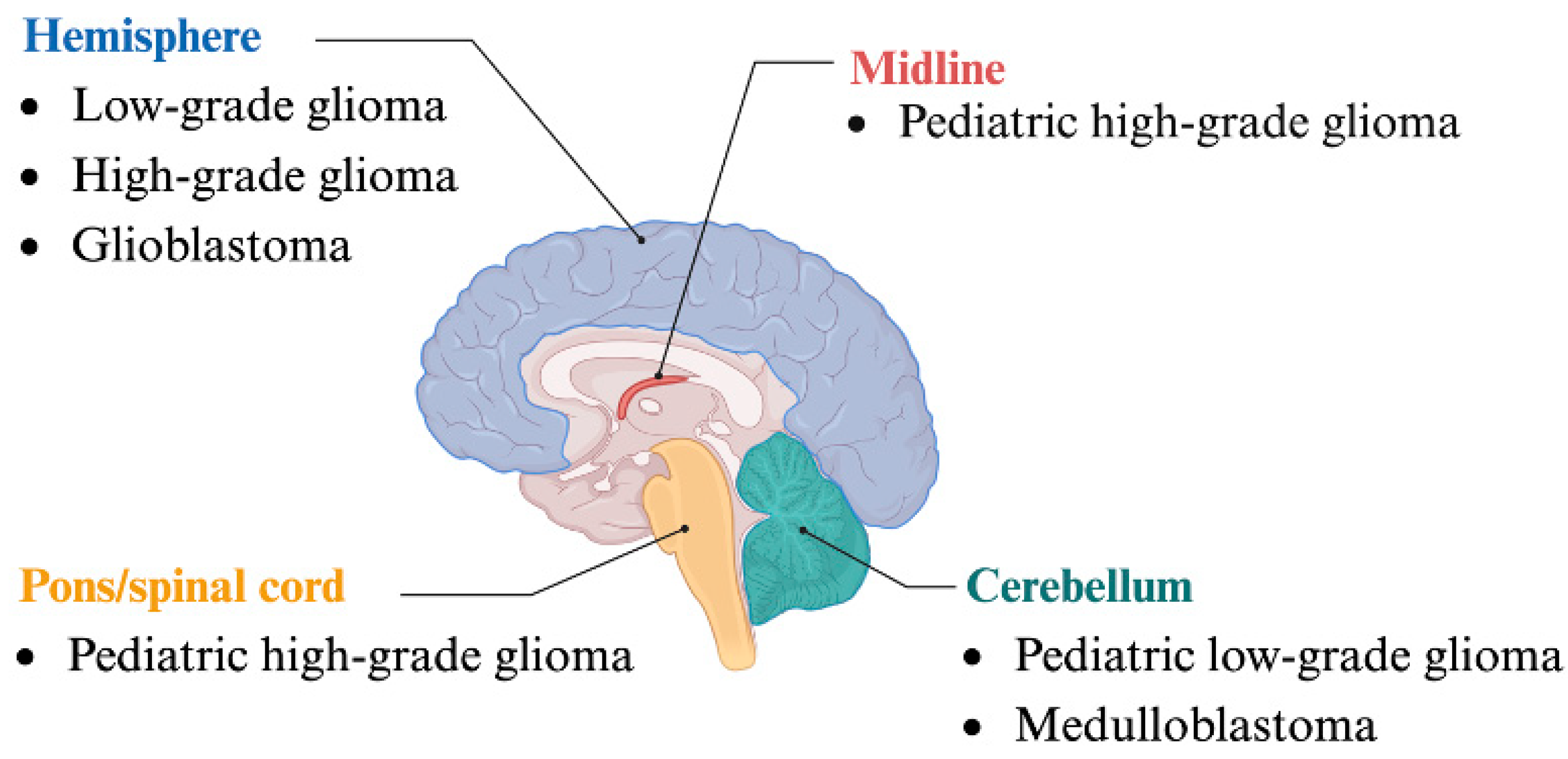 Biology 13 01008 g003
