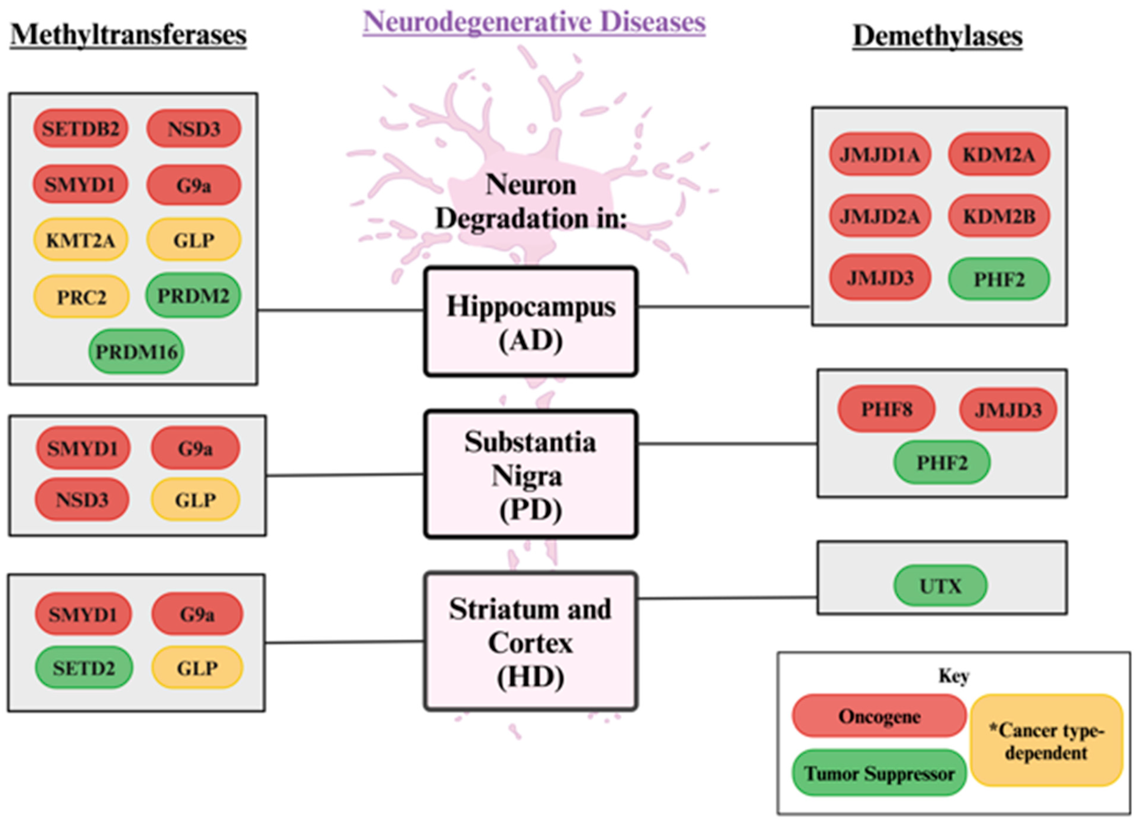 Biology 13 01008 g004