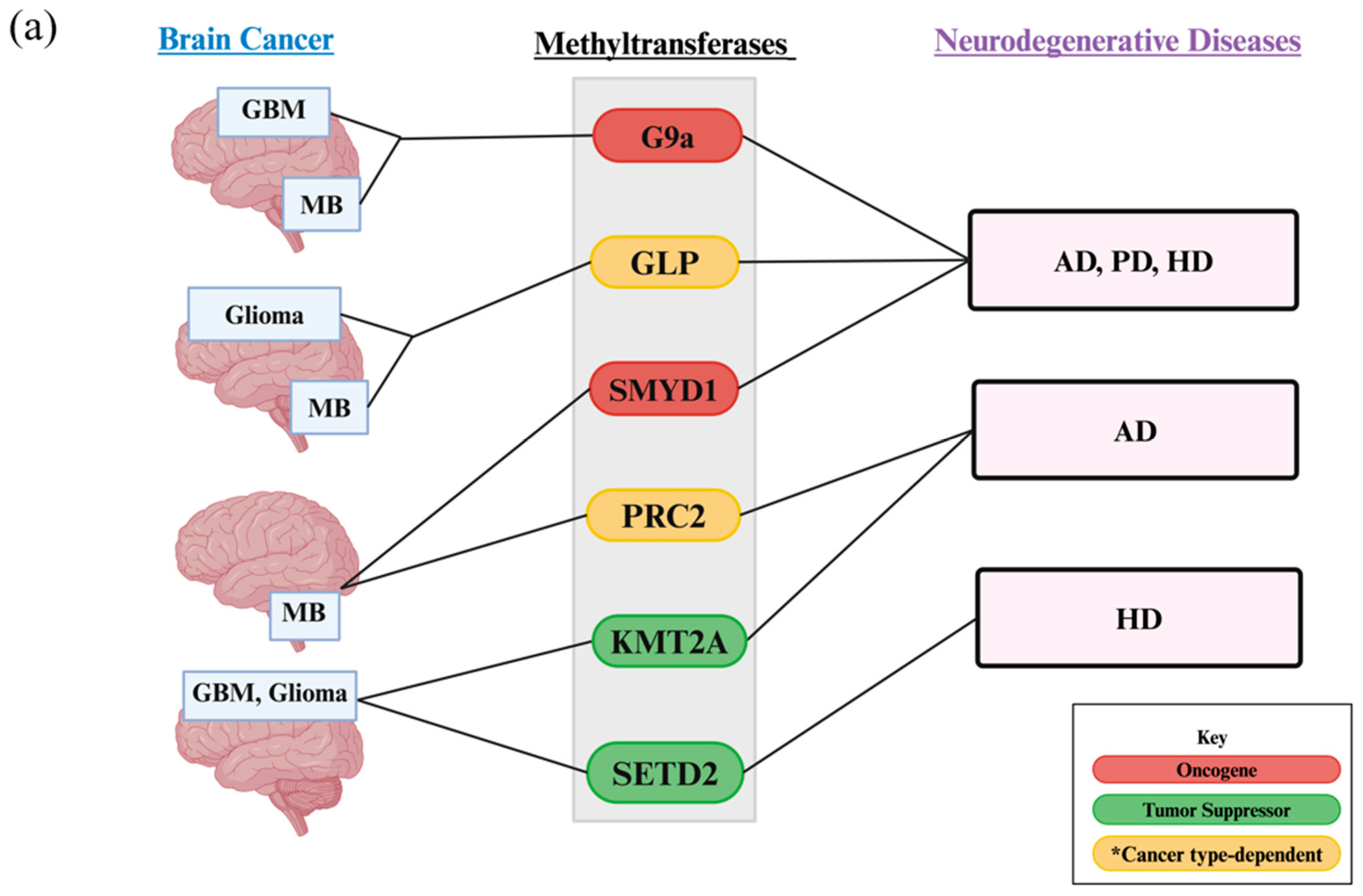 Biology 13 01008 g005a
