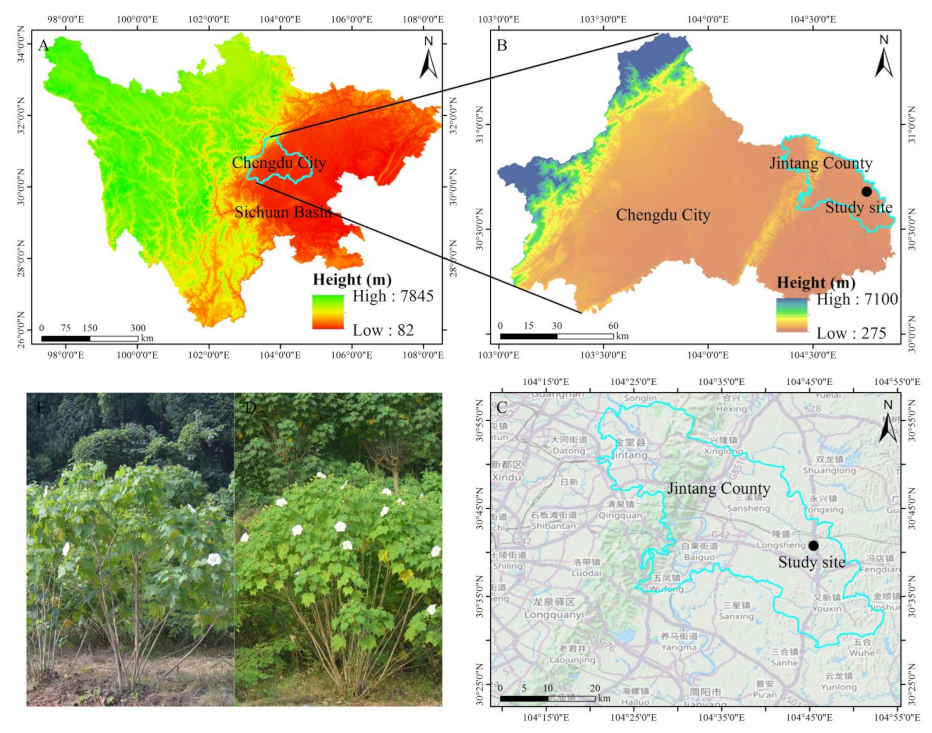 Biology 13 01009 g001