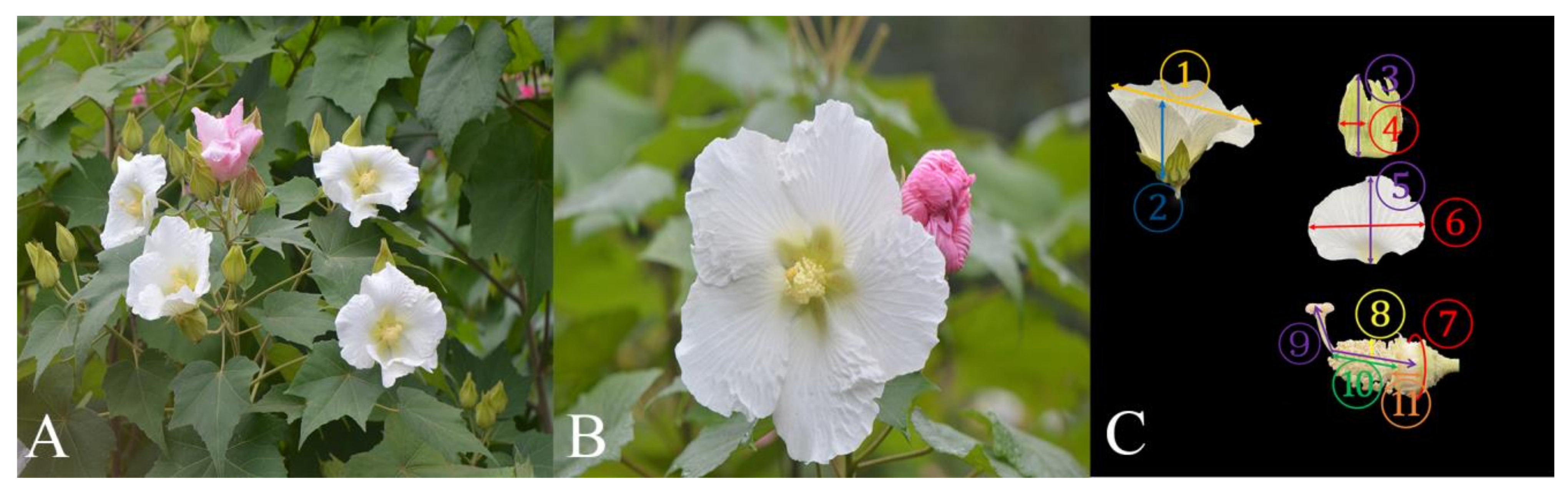 Biology 13 01009 g003