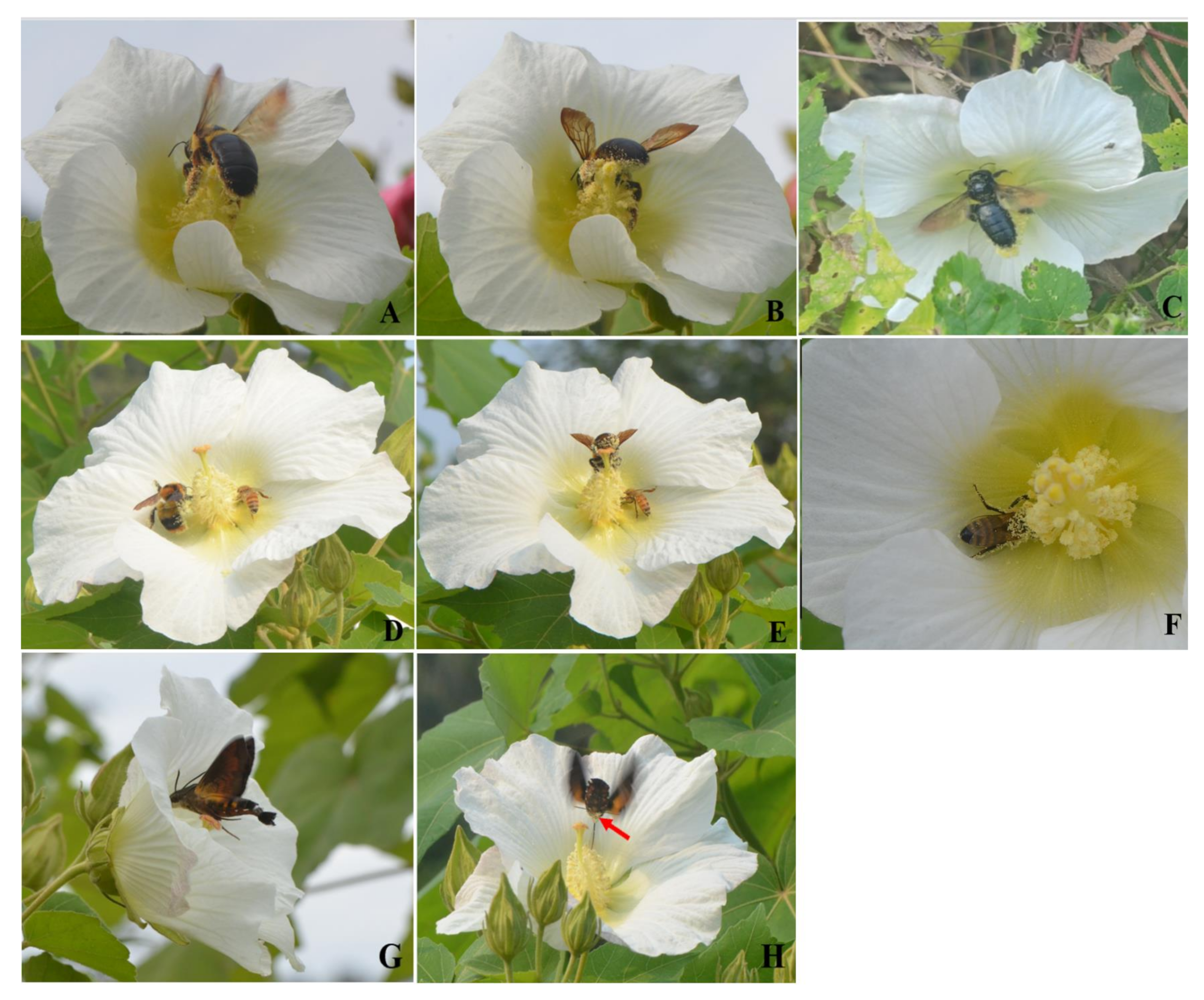 Biology 13 01009 g004