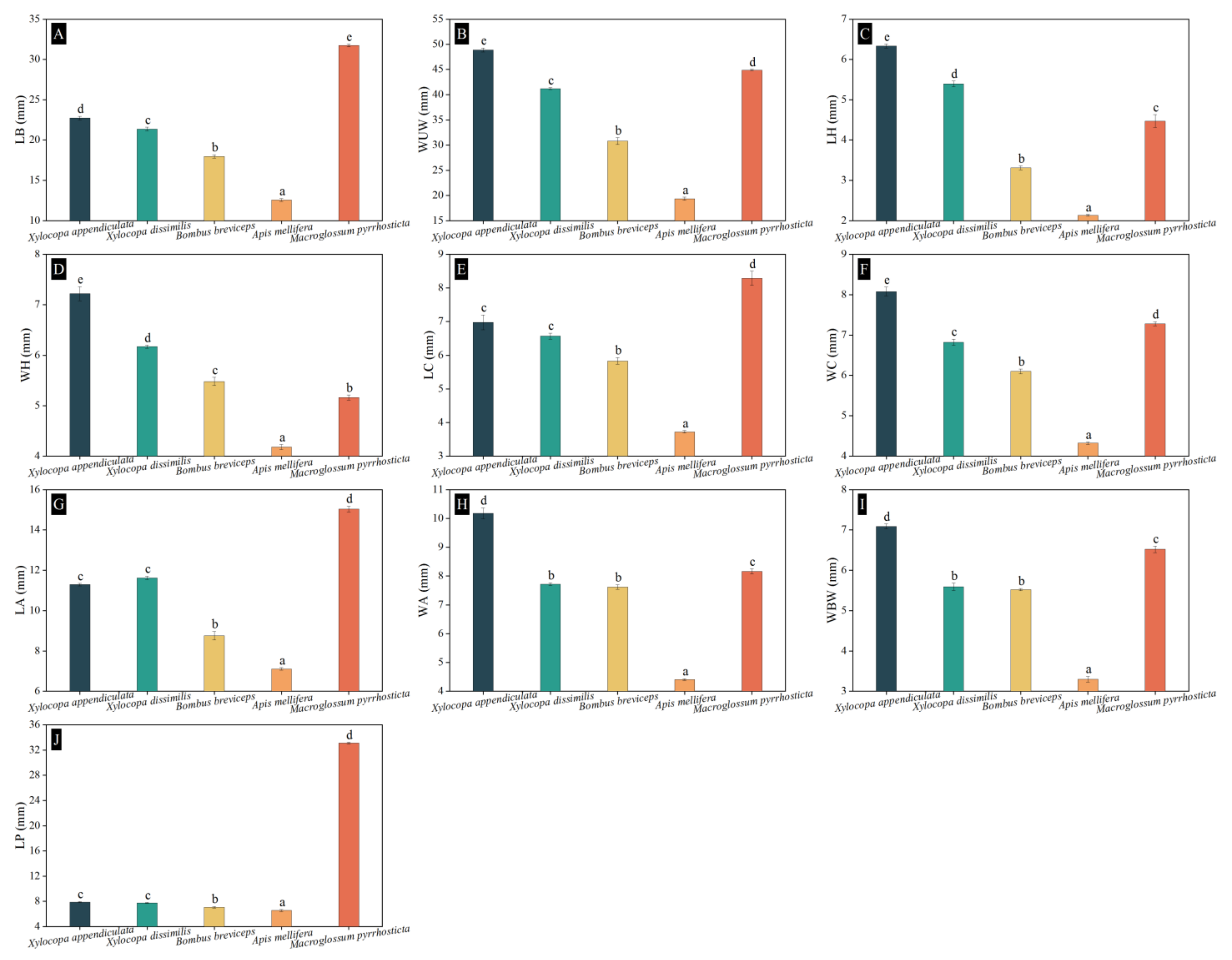 Biology 13 01009 g006