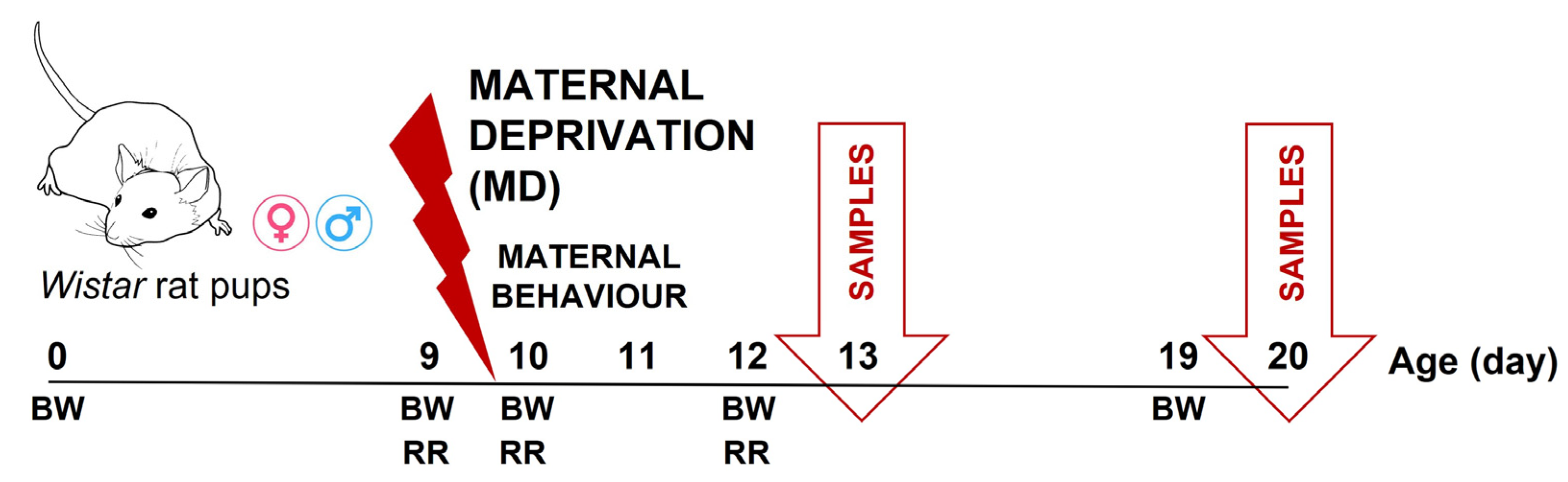Biology 13 01011 g001 Biology 13 01011 g001