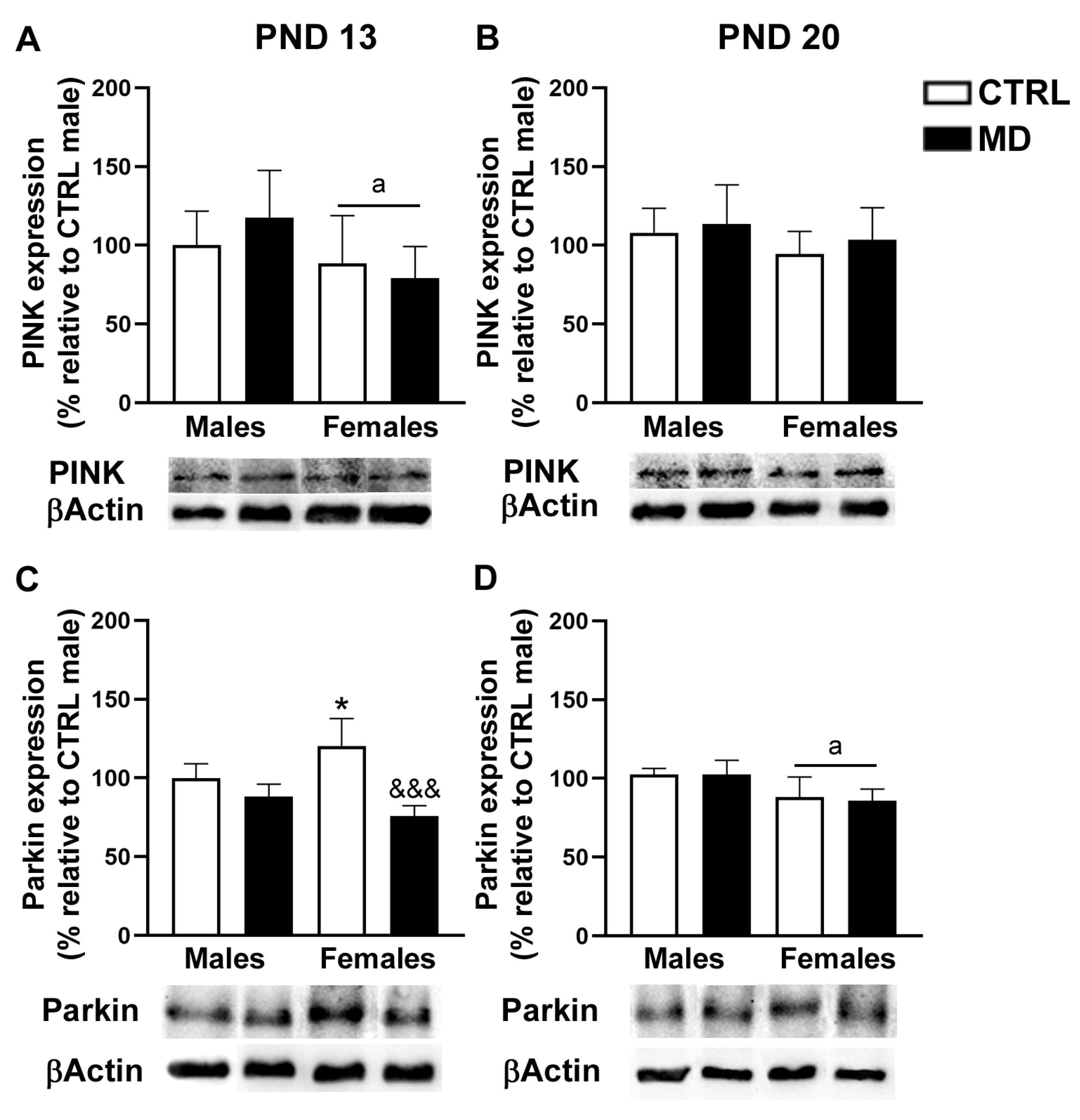 Biology 13 01011 g007 Biology 13 01011 g007