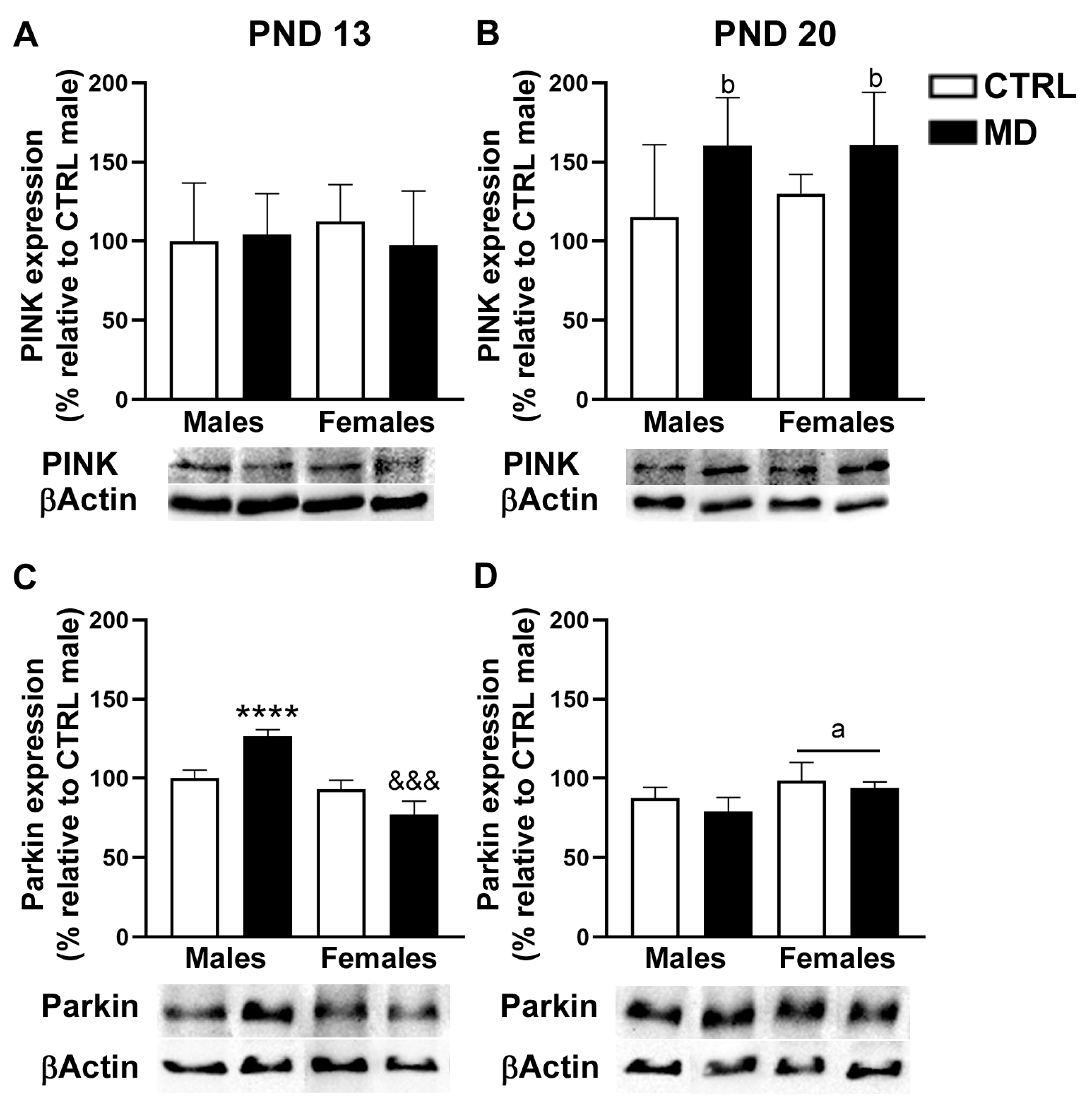 Biology 13 01011 g008 Biology 13 01011 g008