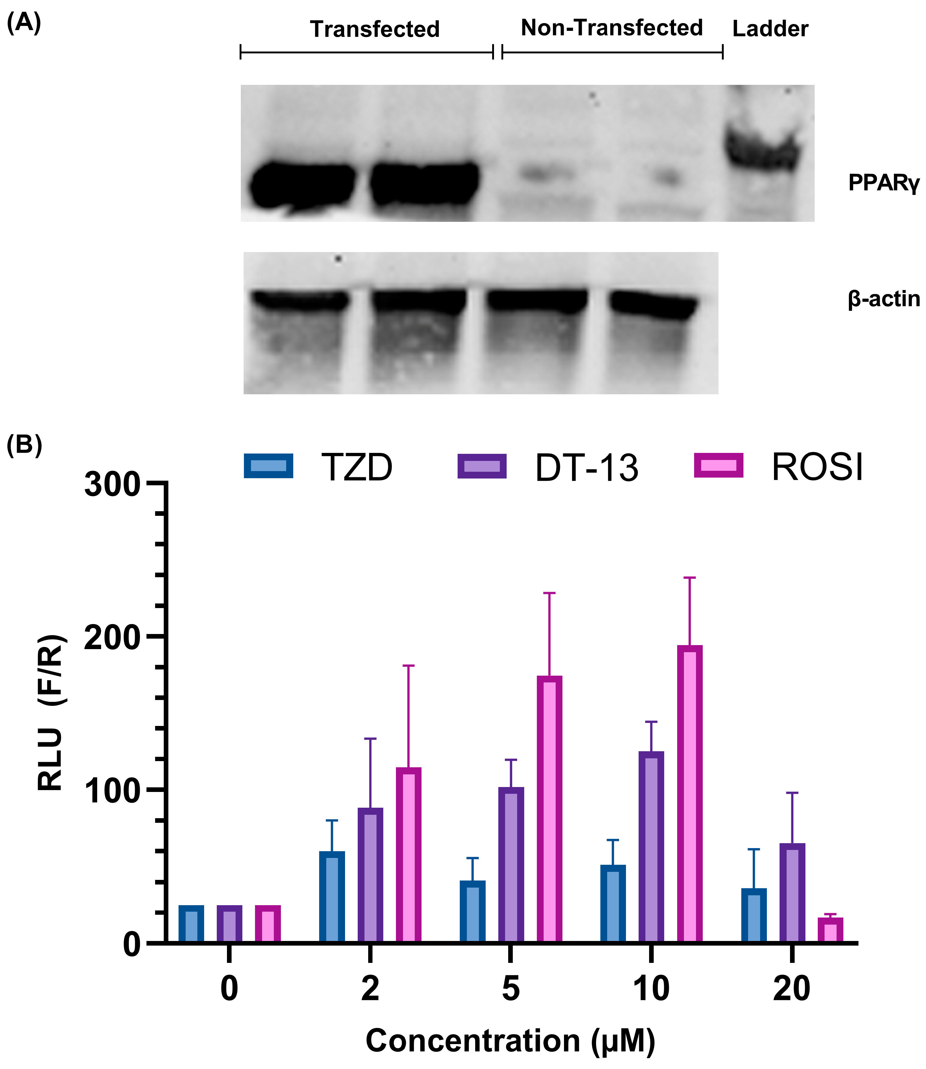 Biology 13 01015 g002