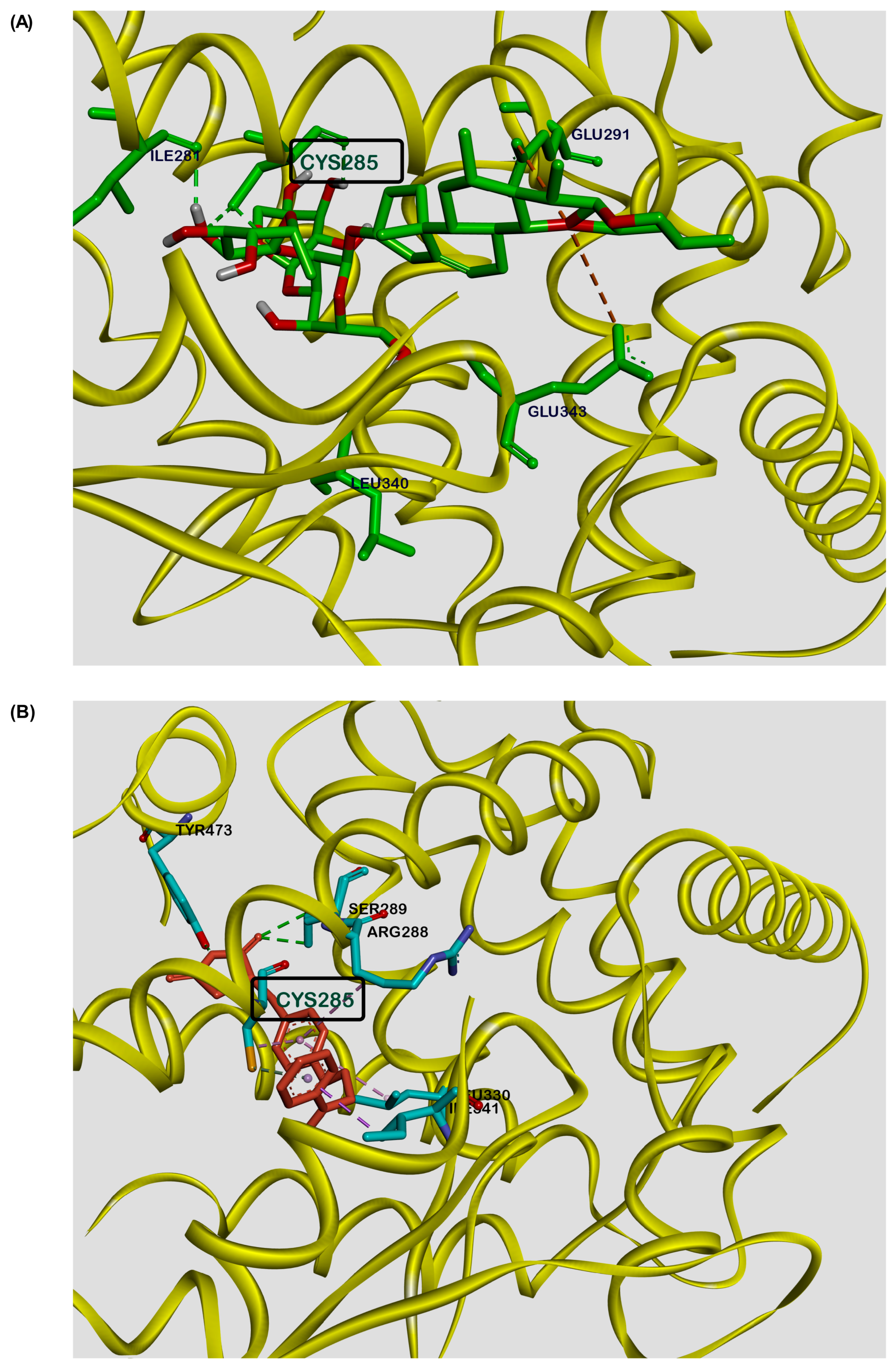 Biology 13 01015 g005