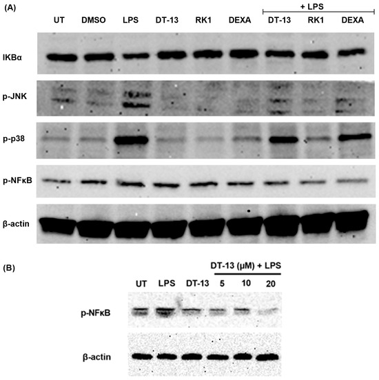 Biology 13 01015 g0a1