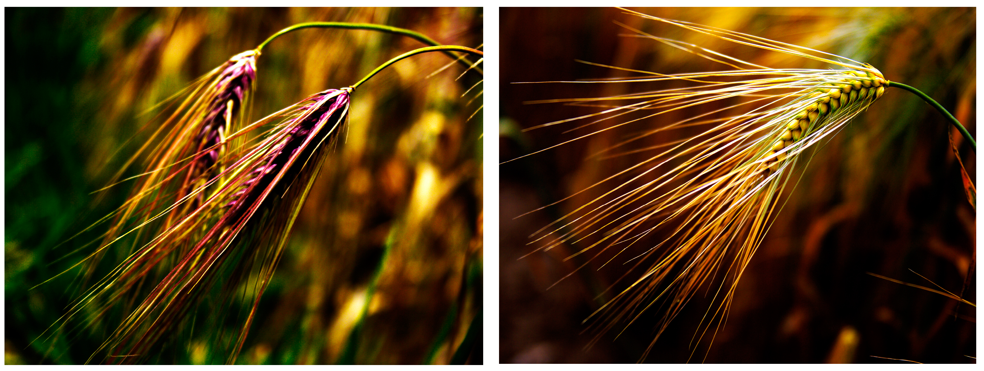 Biology 13 01018 g001